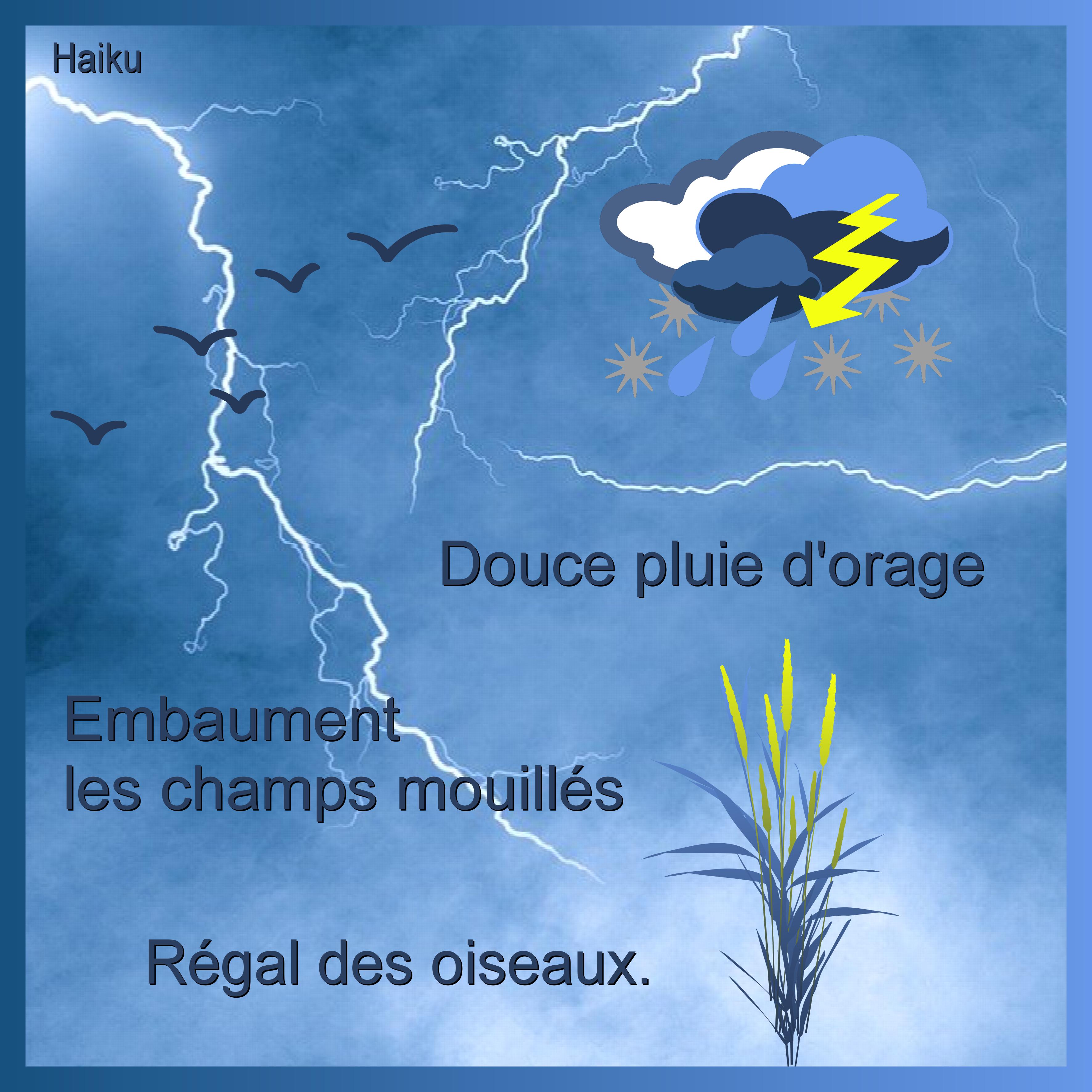 J-s267 - DOUCE PLUIE D'ORAGE.jpg