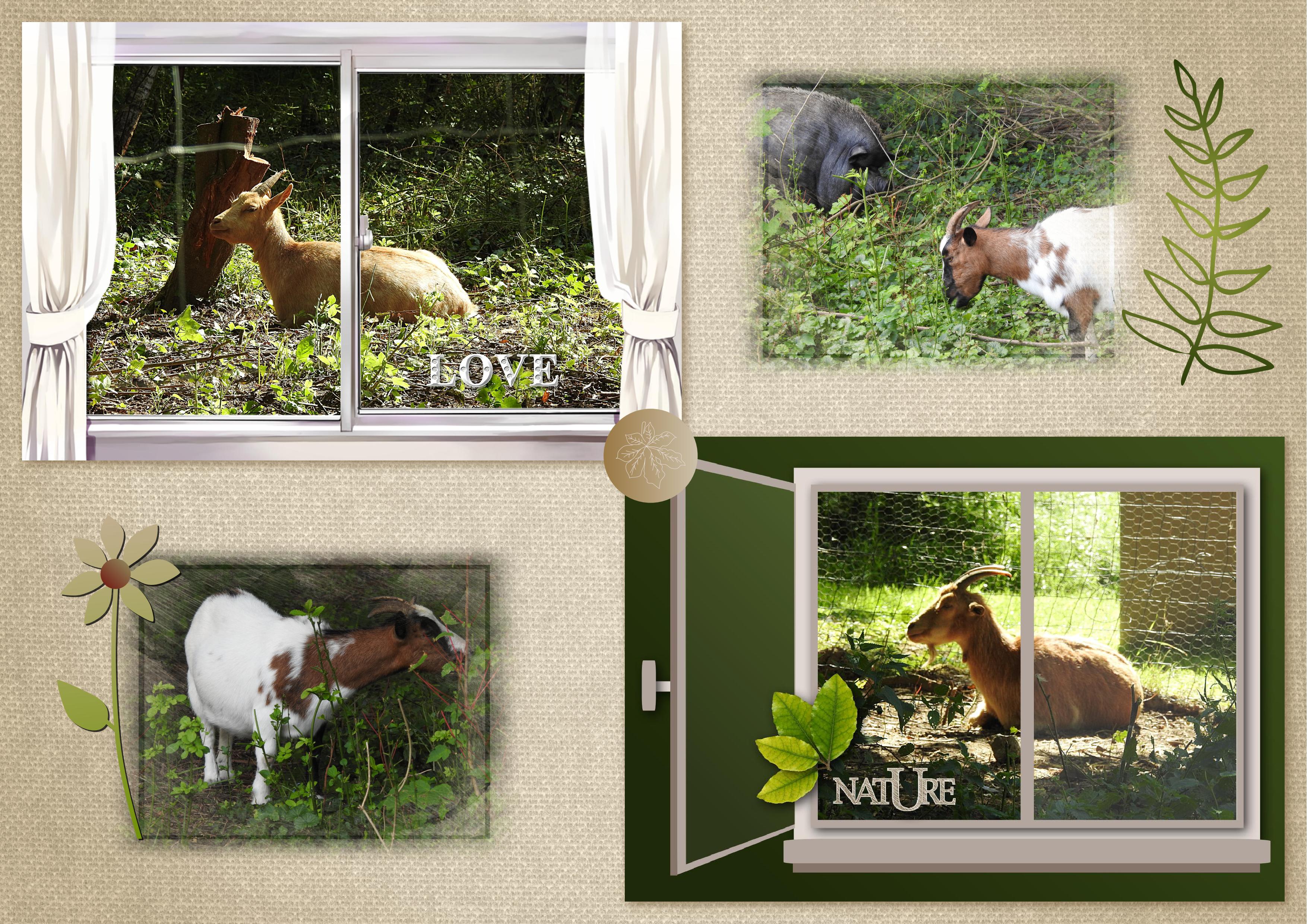 J-s28 - LOVE NATURE.jpg