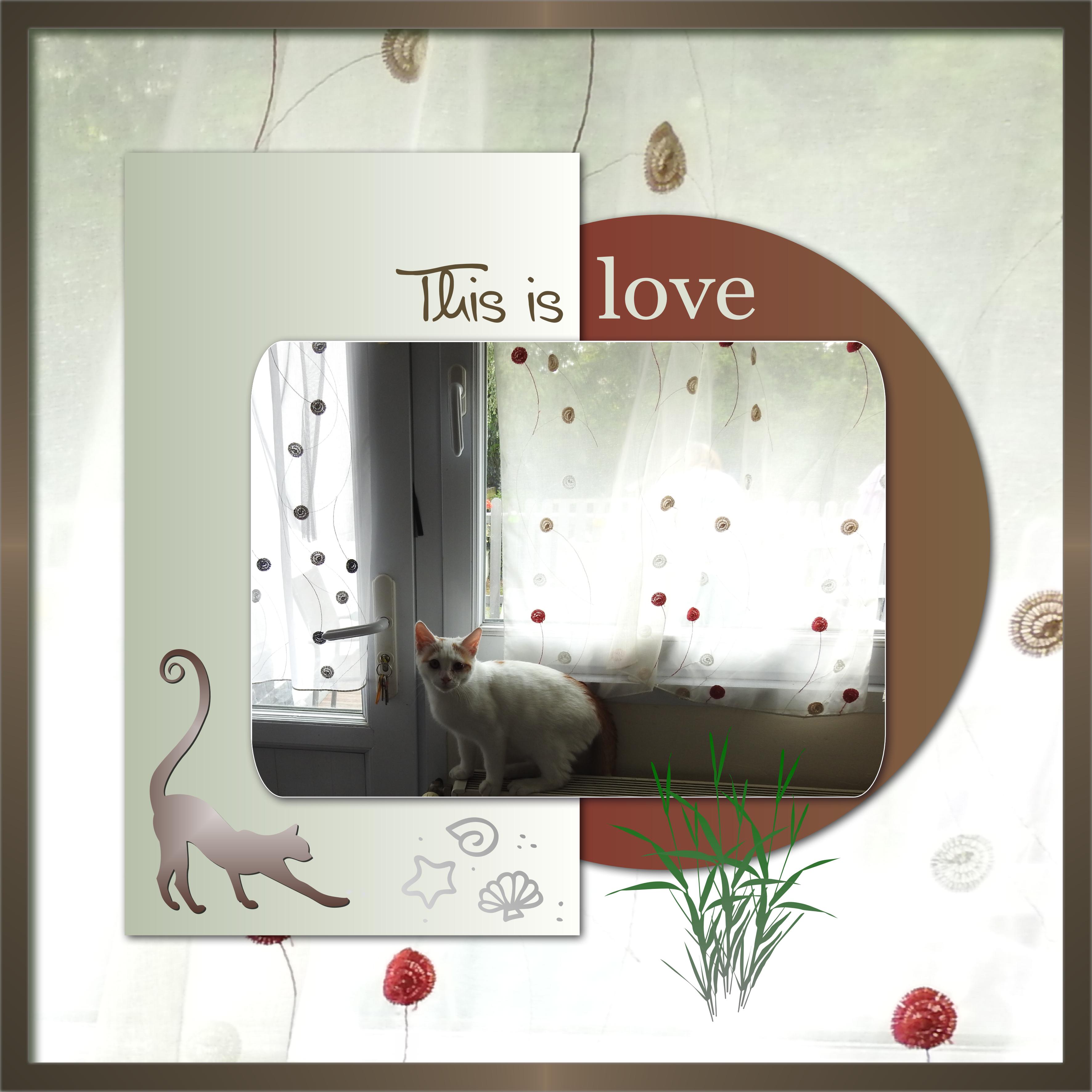 J-s29 - THIS IS LOVE.jpg