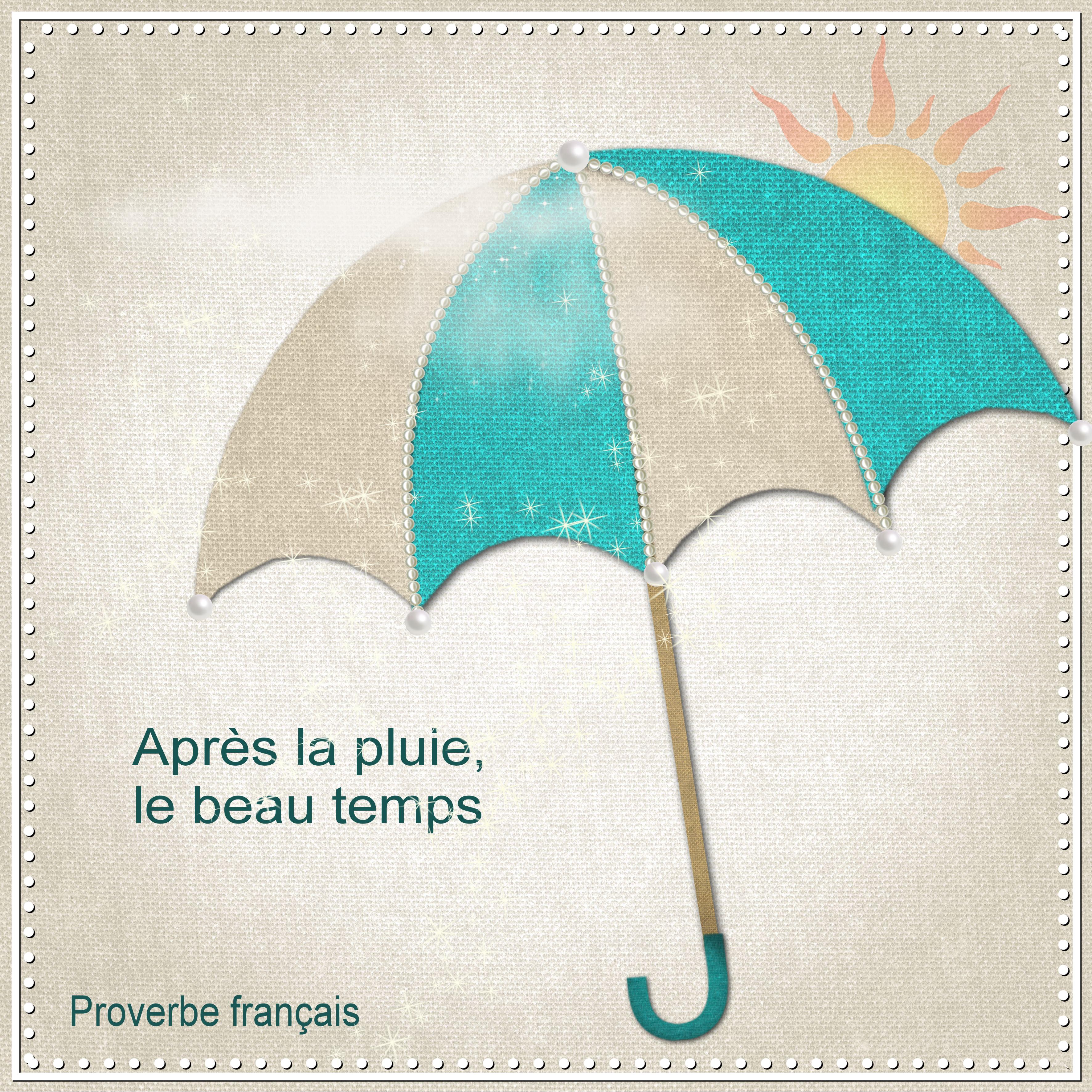 j-s299 - APRES LA PLUIE.jpg