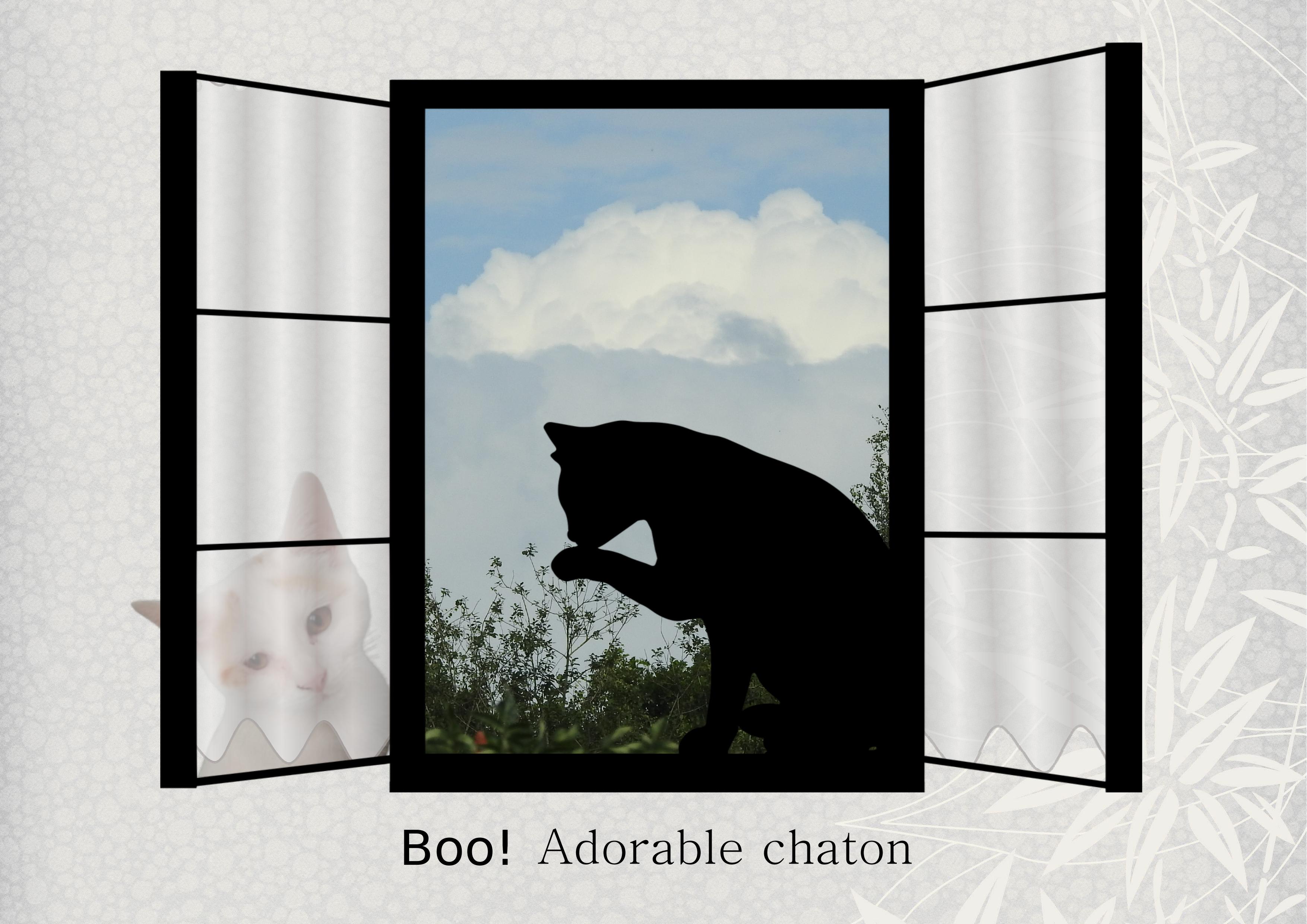 J-s30 - BOO ADORABLE CHATON.jpg