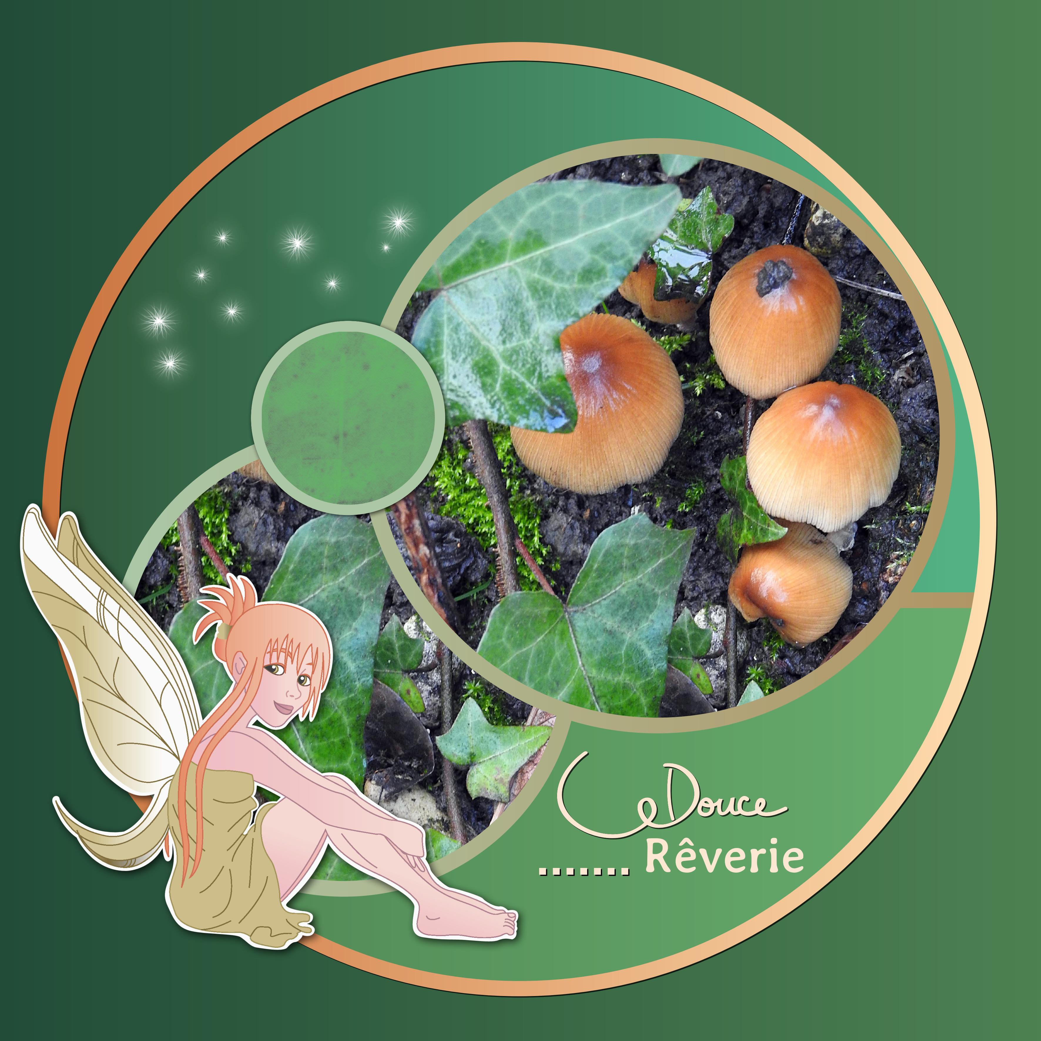 J-s309 - DOUCE REVERIE.jpg