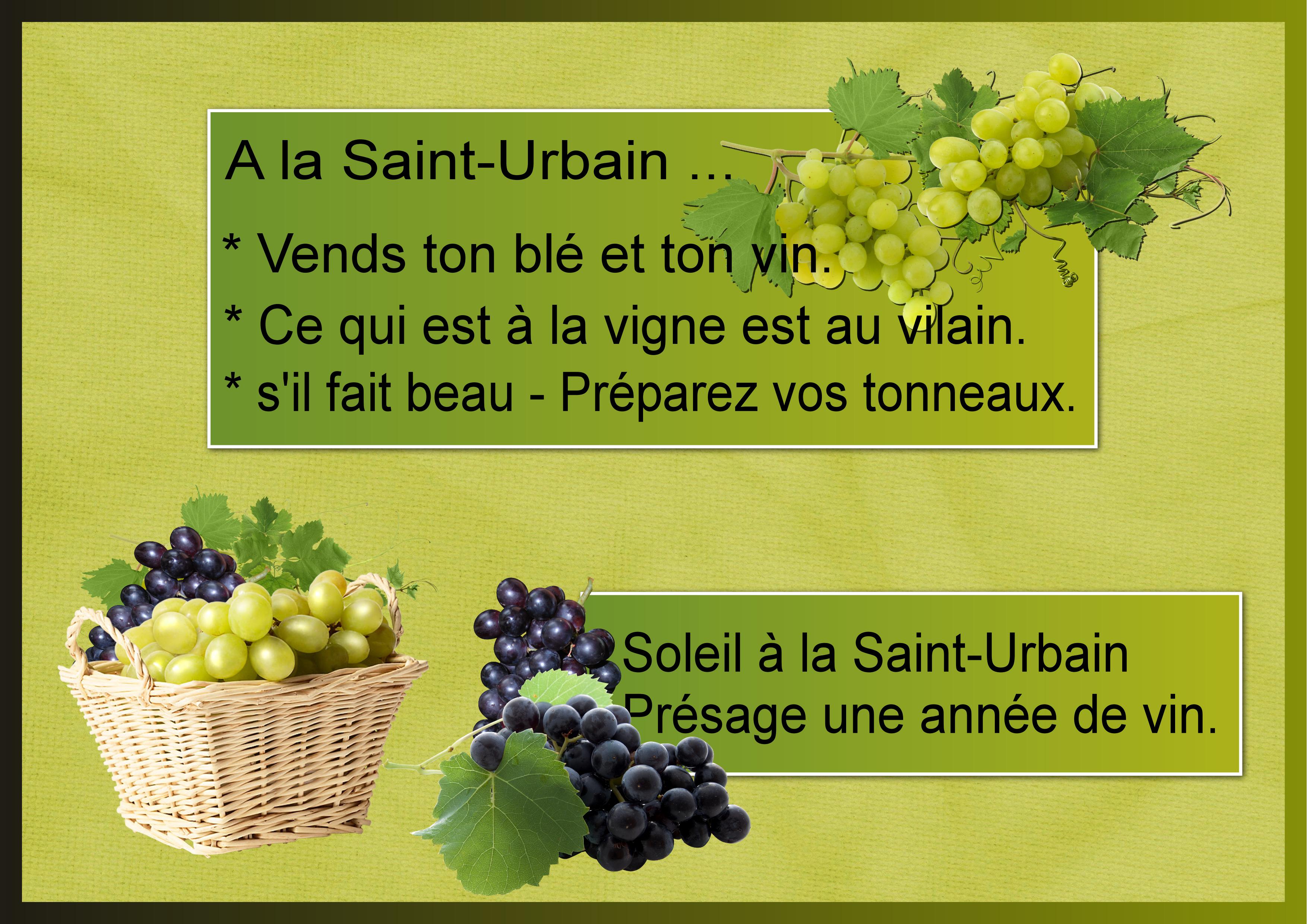 J-s311 - A LA SAINT-URBAIN.jpg