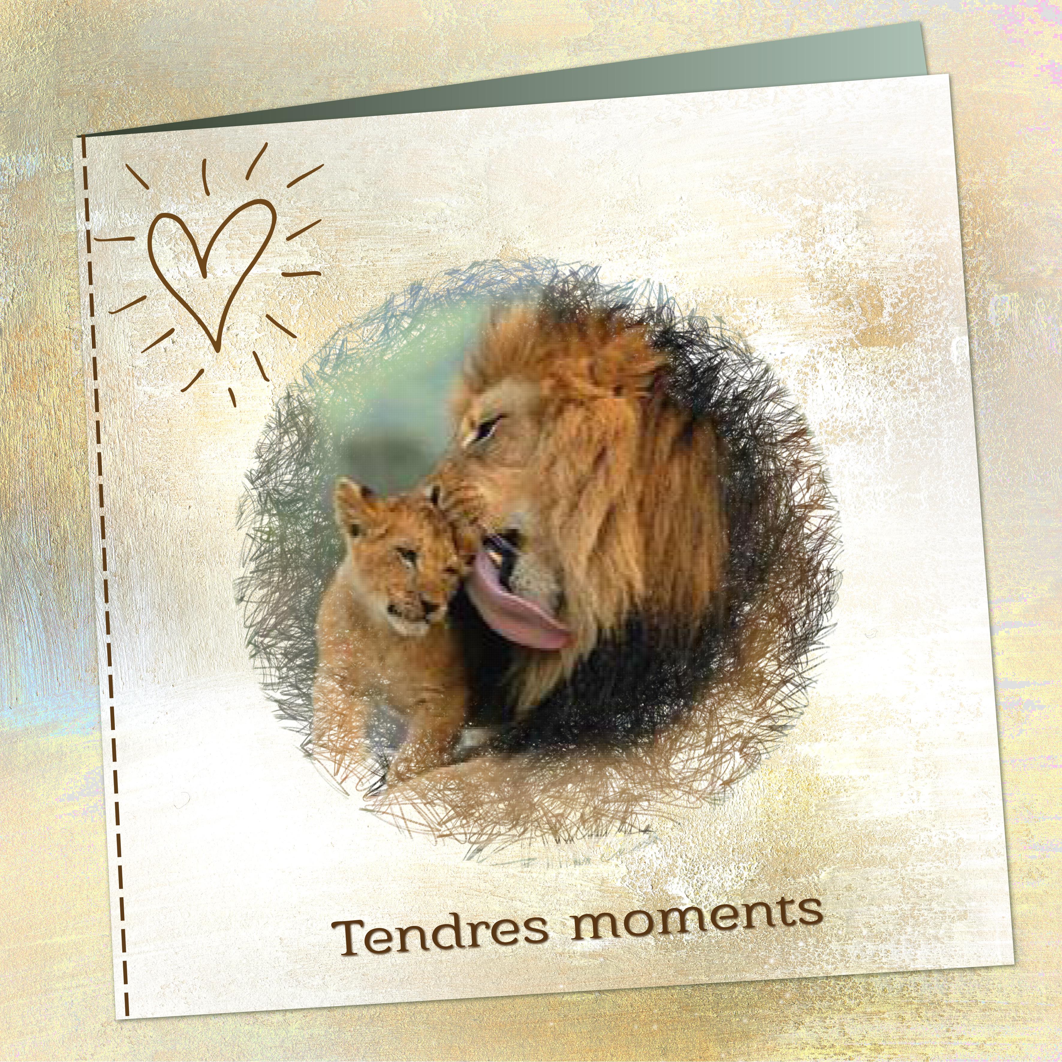 J-s33 - TENDRES MOMENTS.jpg