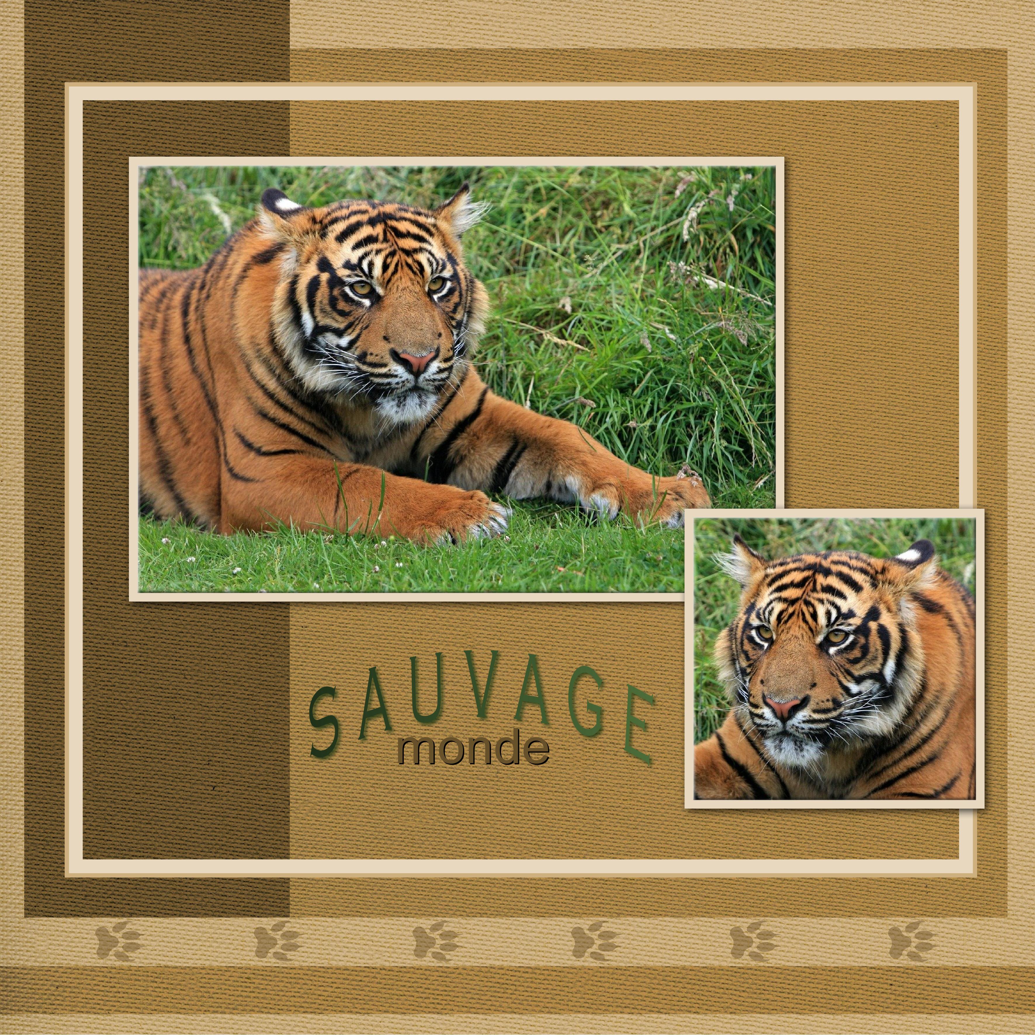 J-s34 - MONDE SAUVAGE.jpg