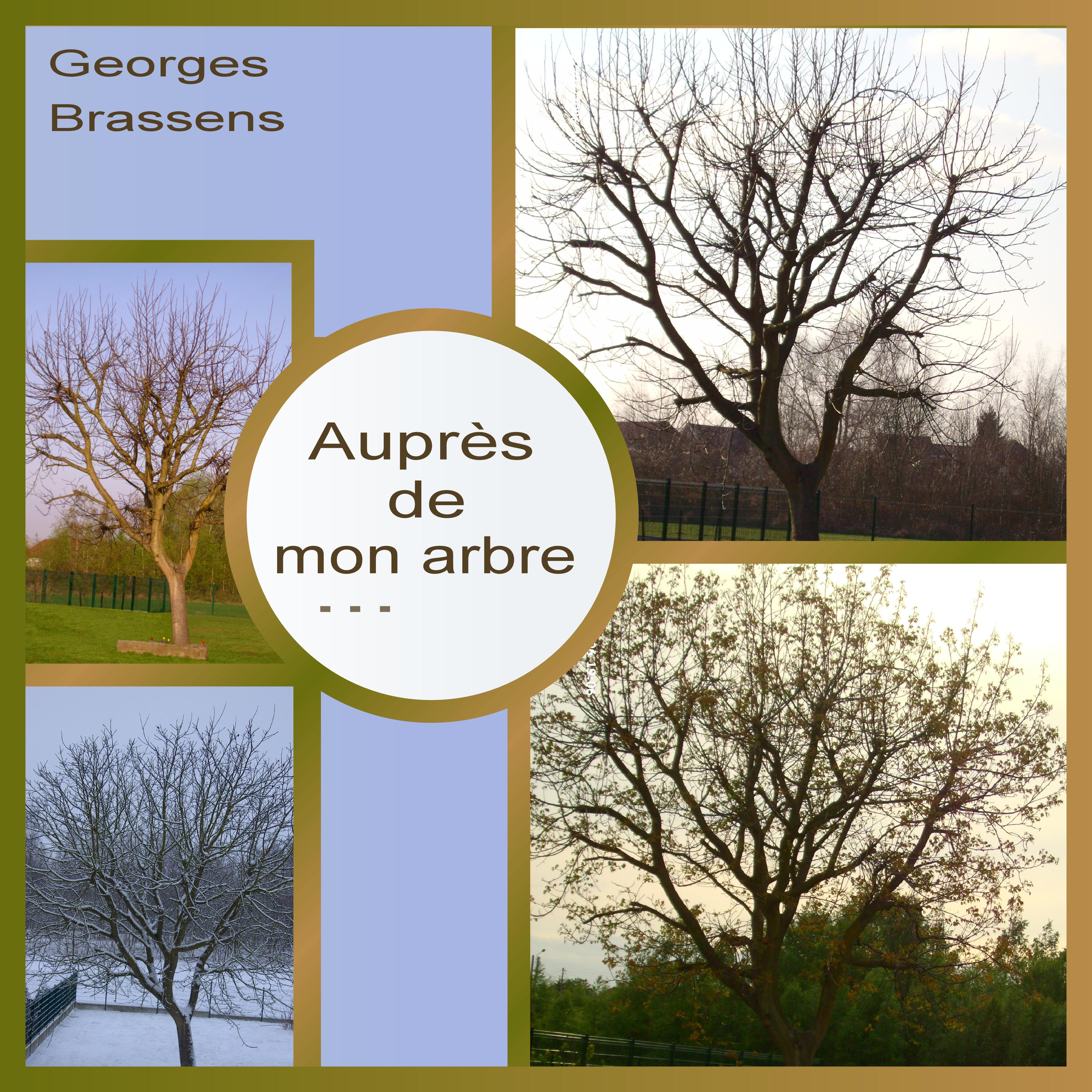 J-s344 - AUPRES DE MON ARBRE.jpg