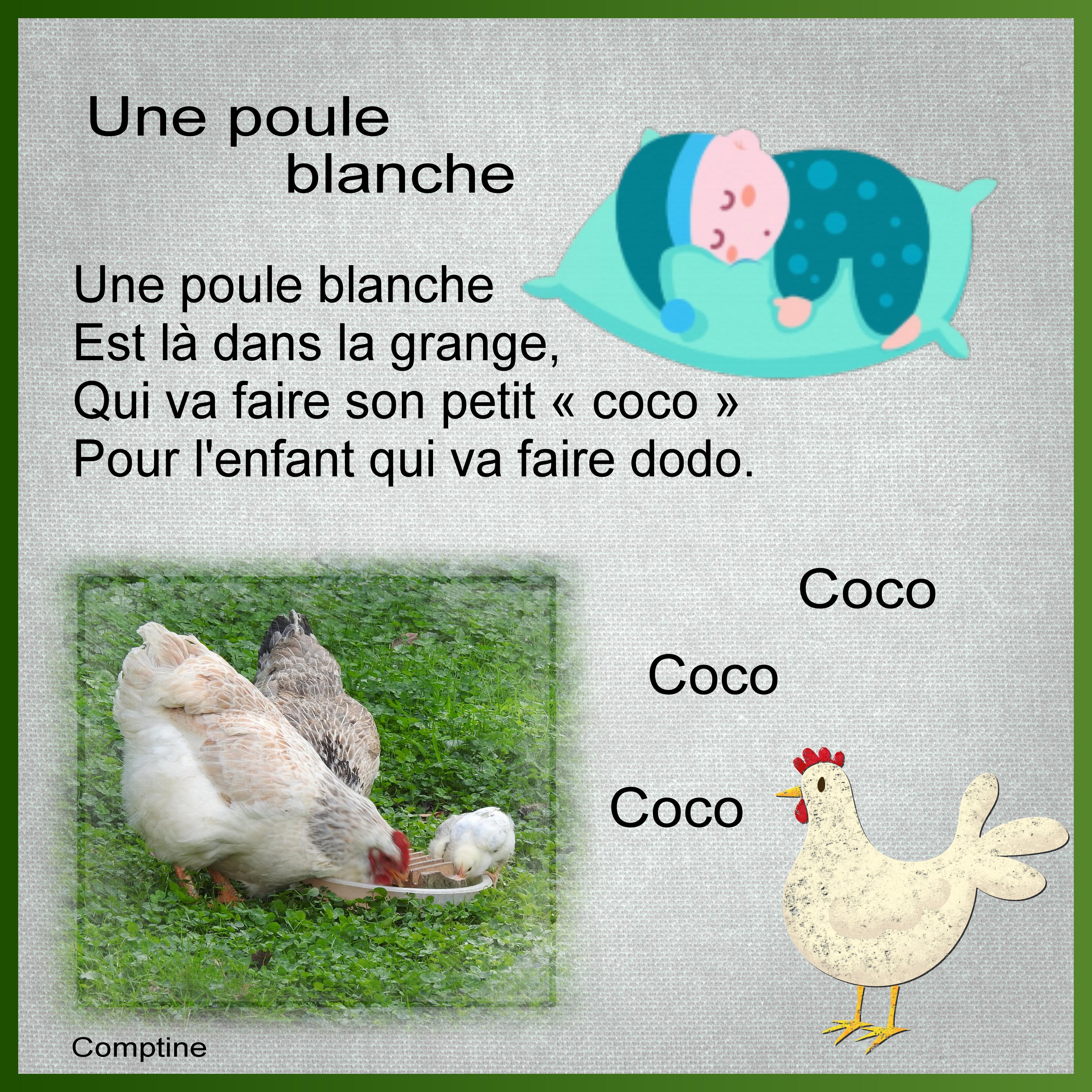 J-s370 - UNE POULE.jpg