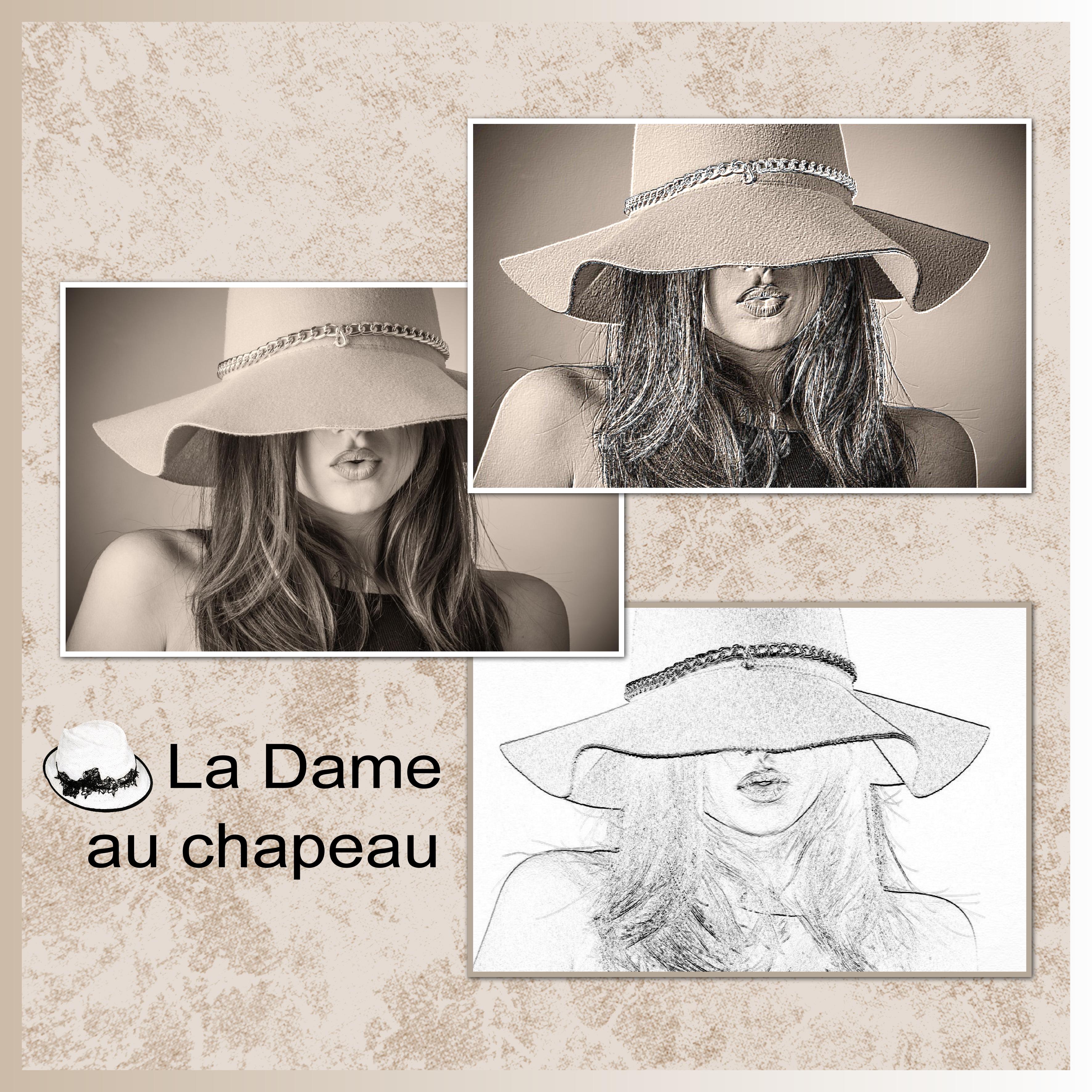 J-s376 - LA DAME AU CHAPEAU.jpg
