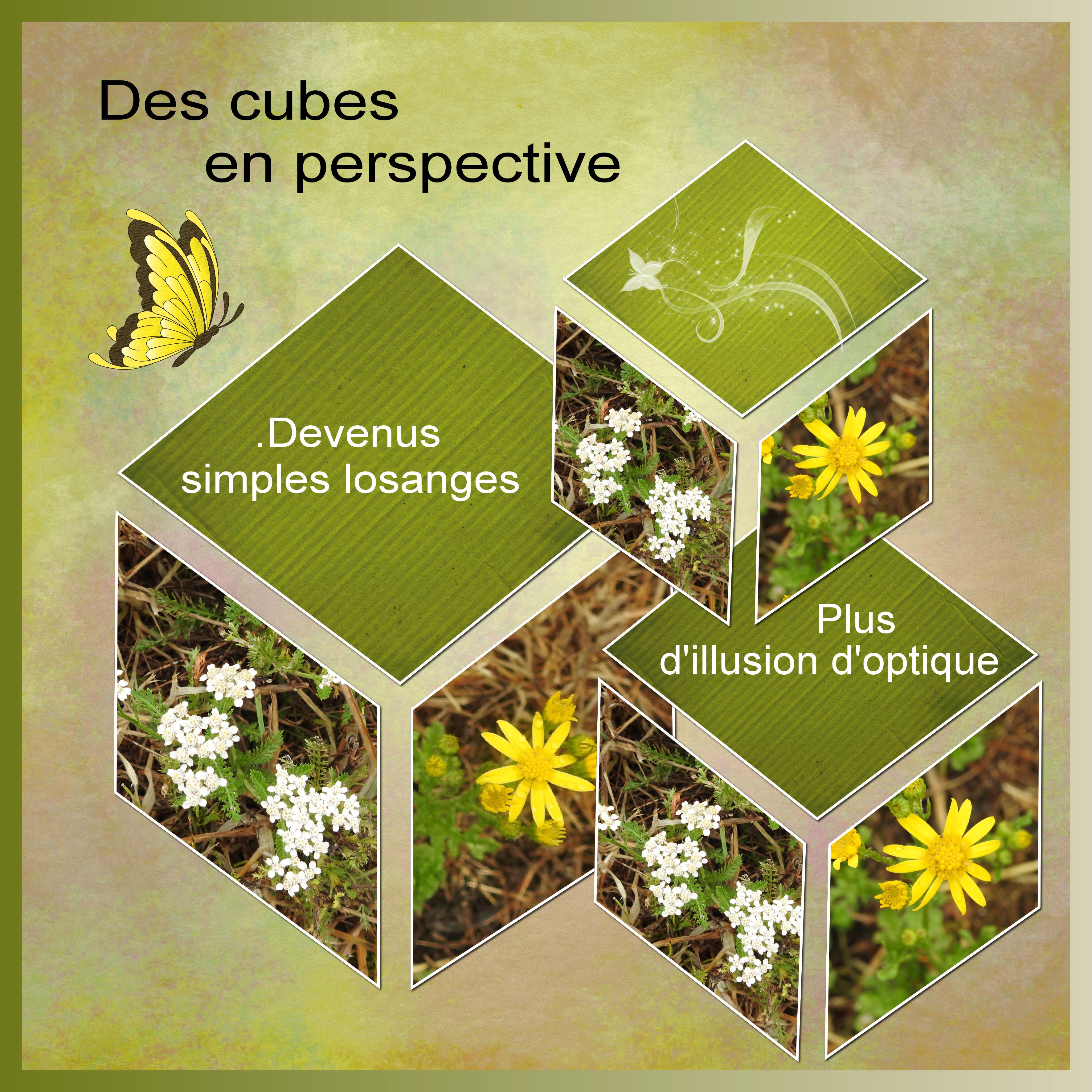 J-s378 - DES CUBES EN PERSPECTIVE.jpg