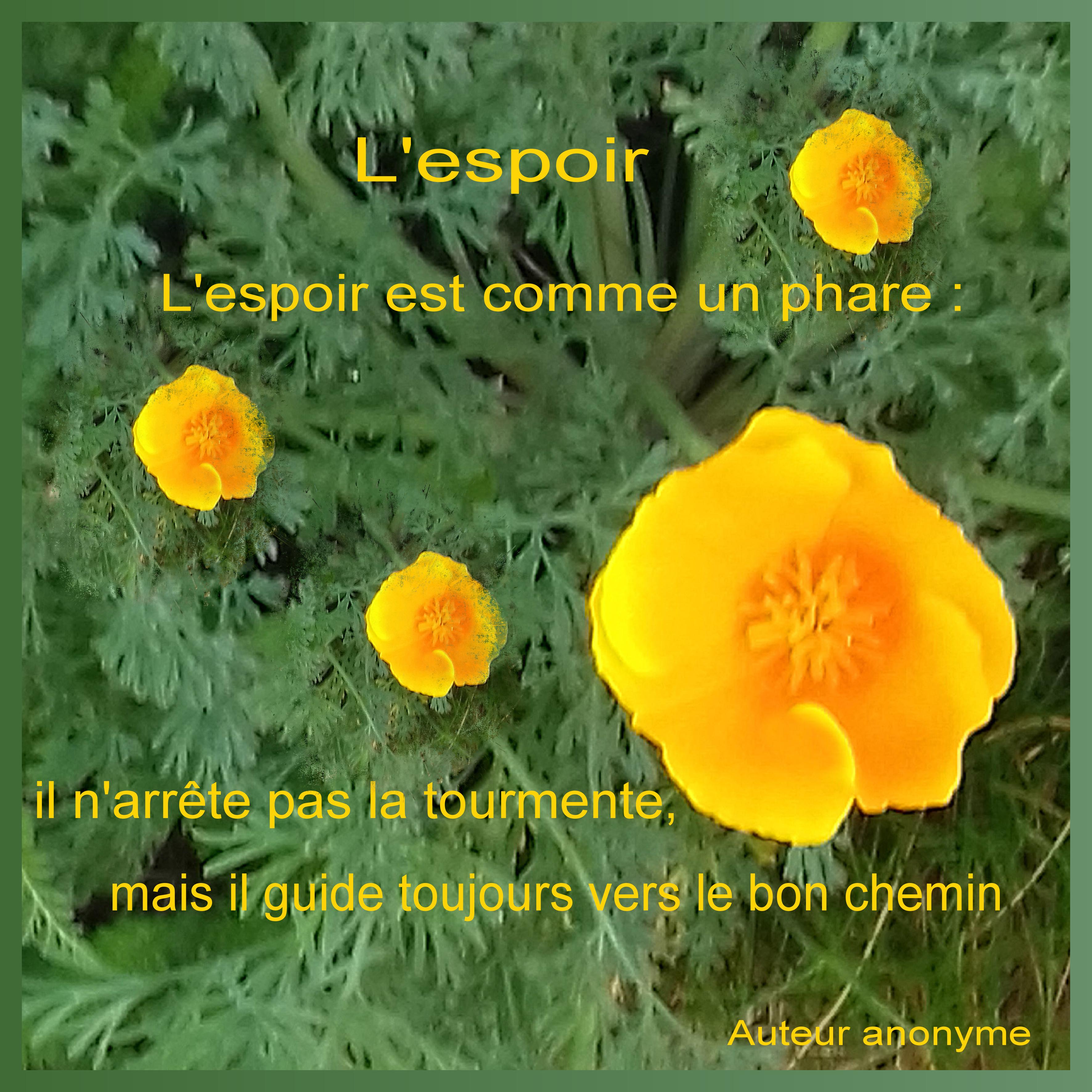 J-s389 - L'ESPOIR.jpg