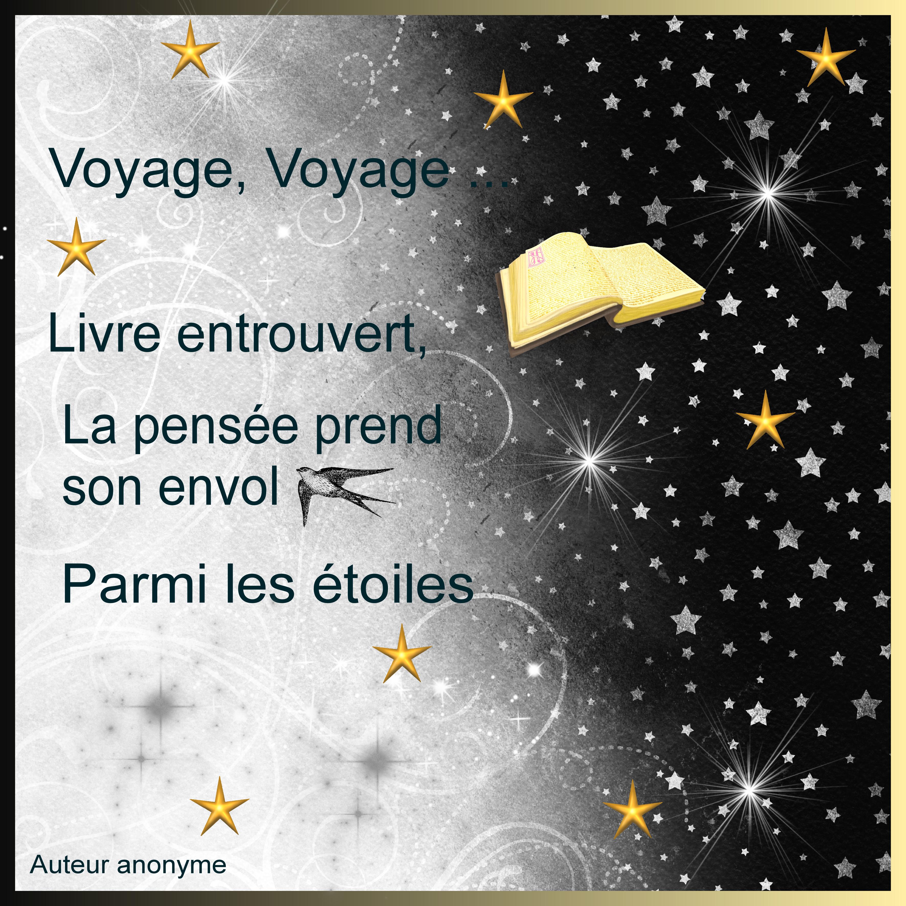 J-s401 - VOYAGE VOYAGE.jpg