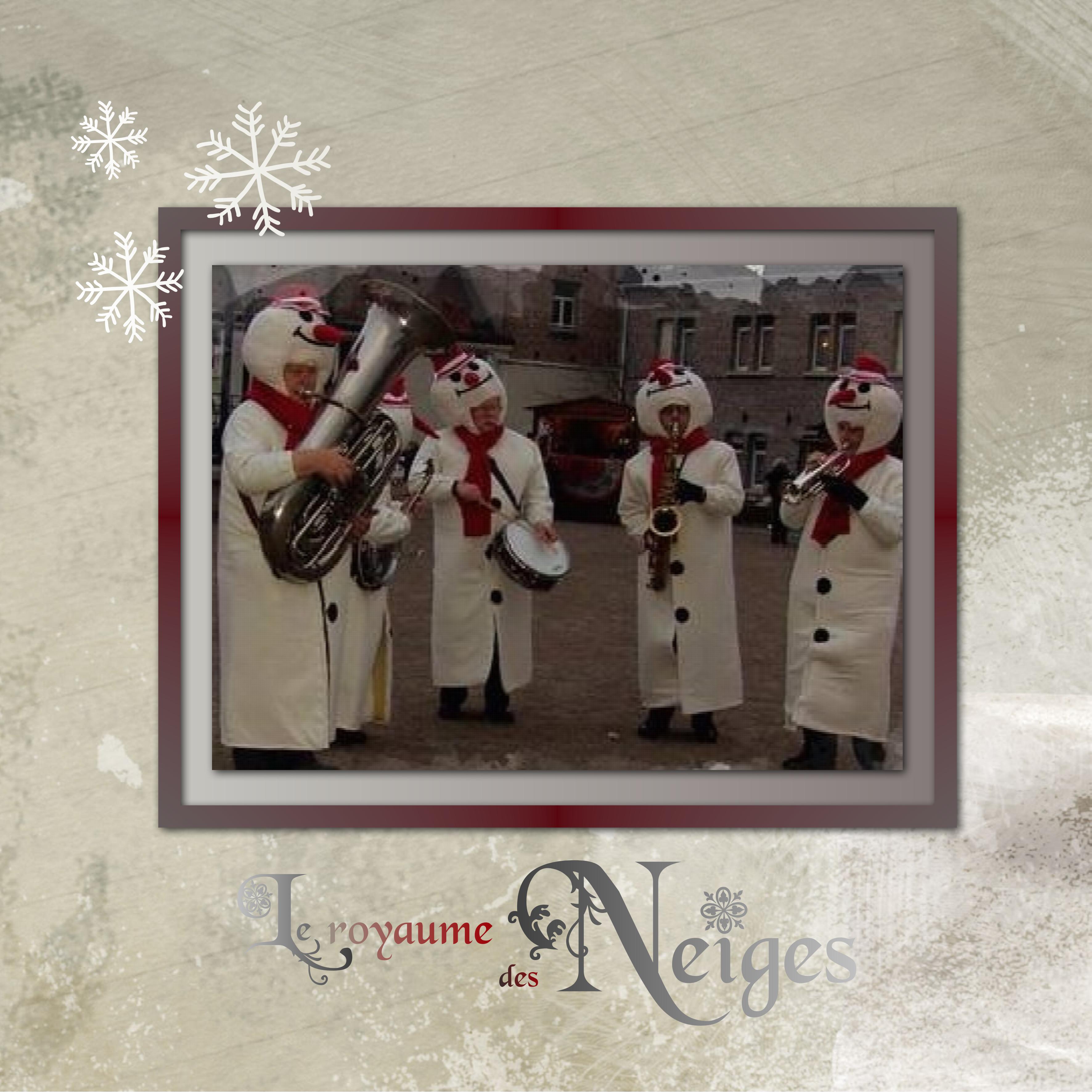 J-s42 - LE ROYAUME DES NEIGES.jpg