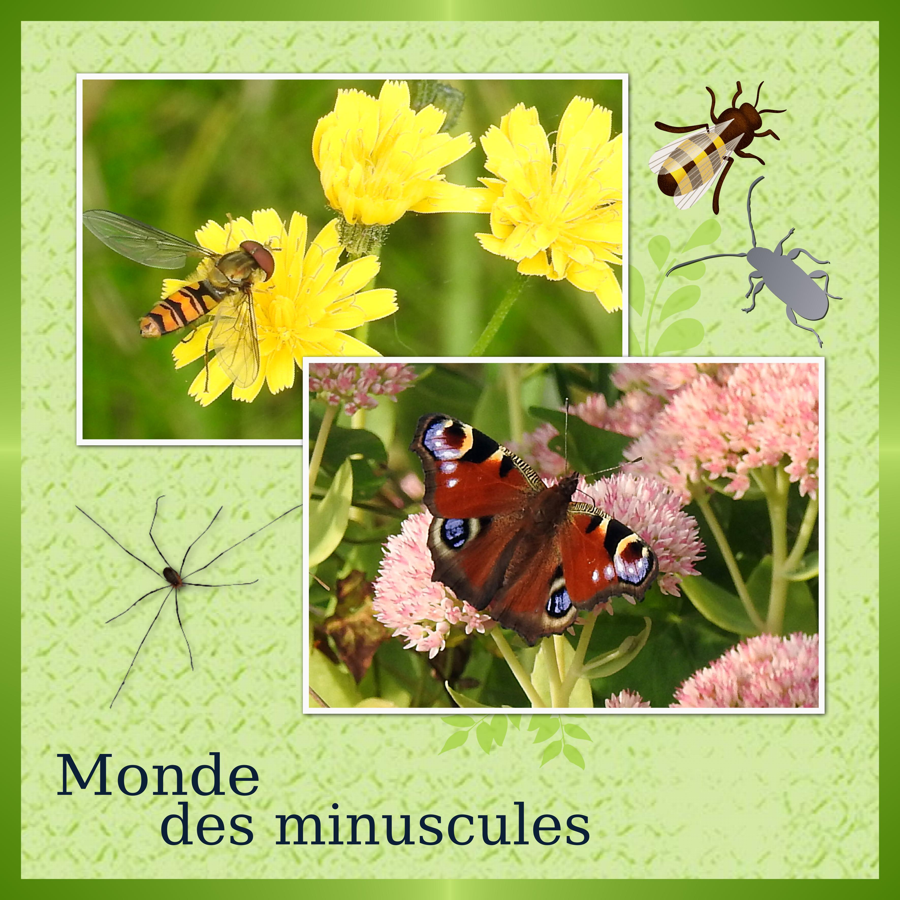J-s58 - MONDE DES MINUSCULES.jpg