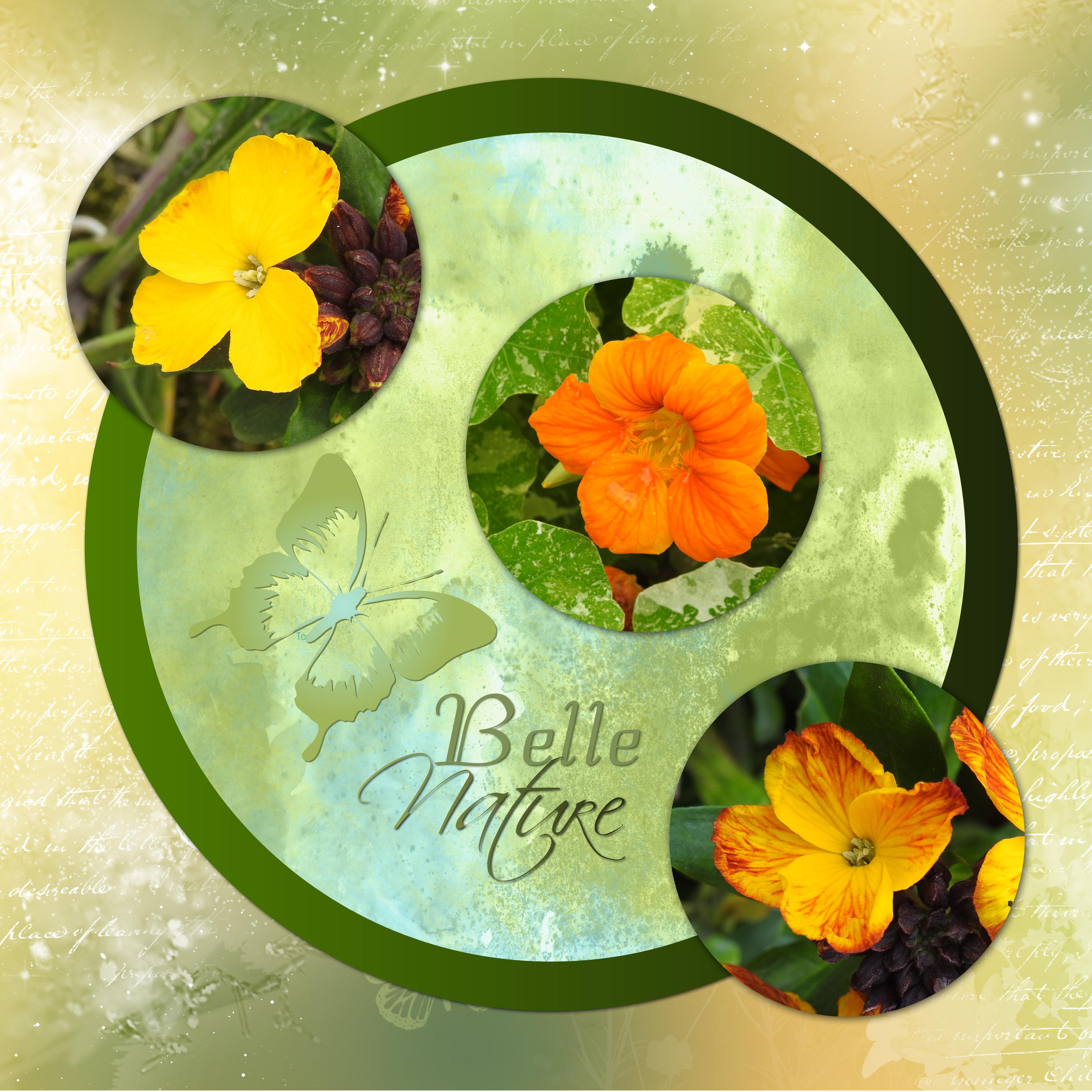 J-s6 - BELLE NATURE.jpg