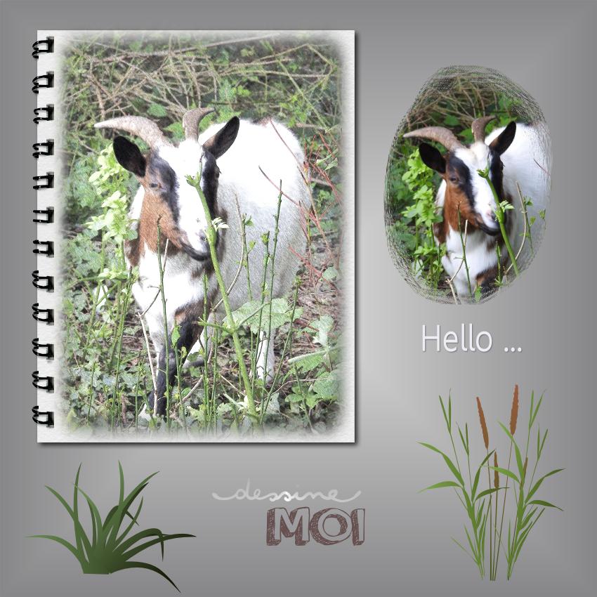 J-s62 - HELLO ... DESSINE MOI.jpg