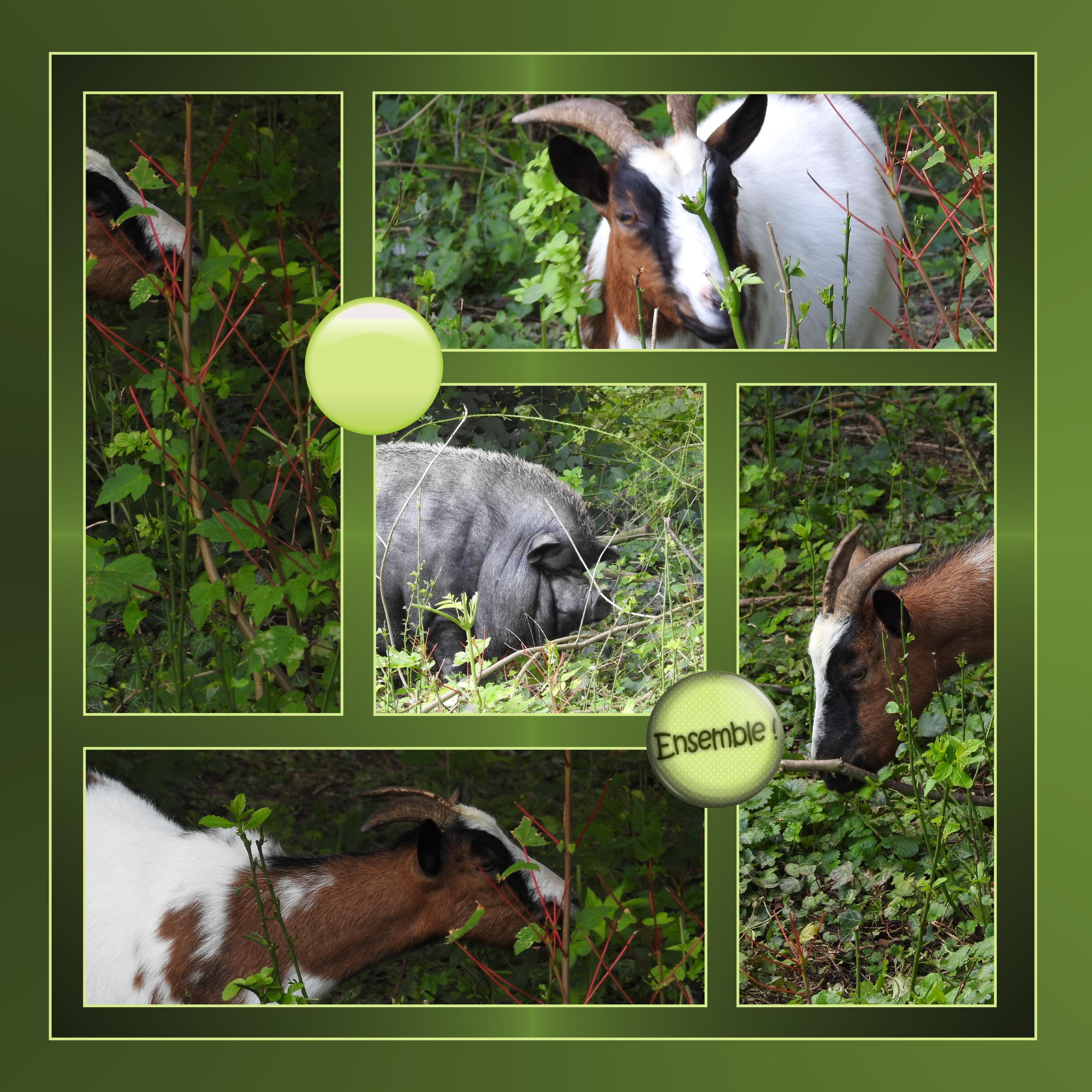 J-s63 - ENSEMBLE.jpg