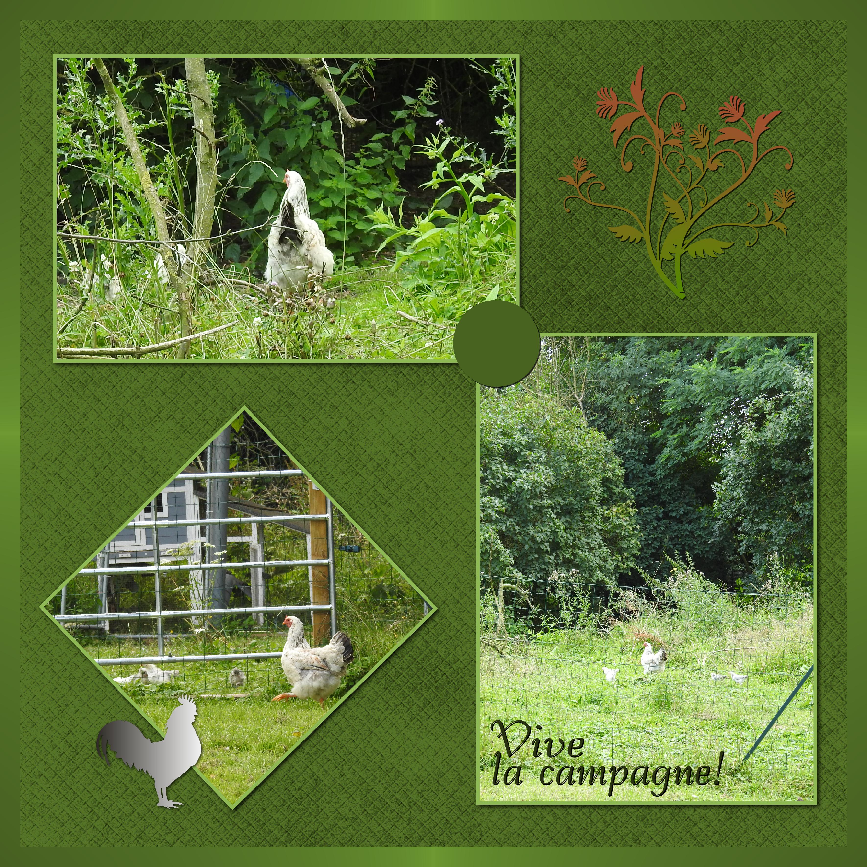 J-s64 - VIVE LA CAMPAGNE.jpg