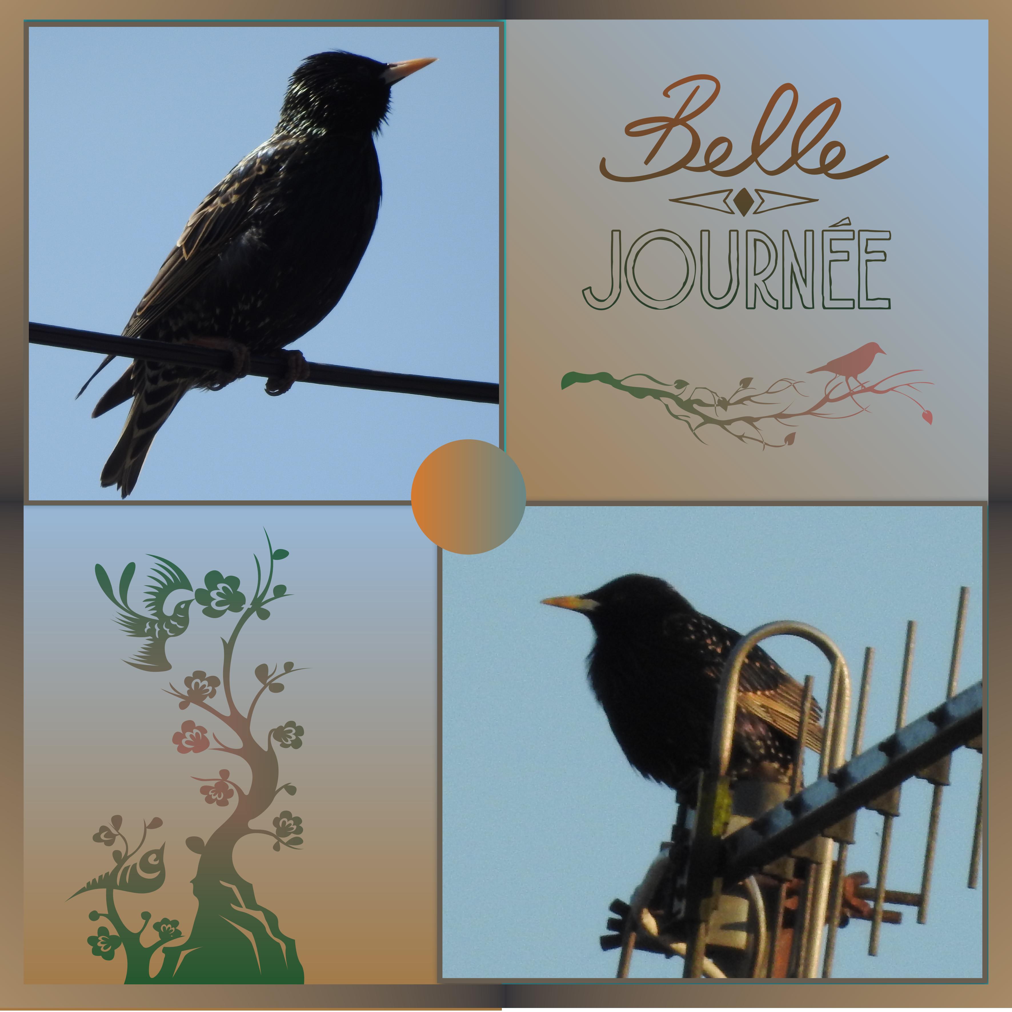 J-s7 - BELLE JOURNEE.jpg