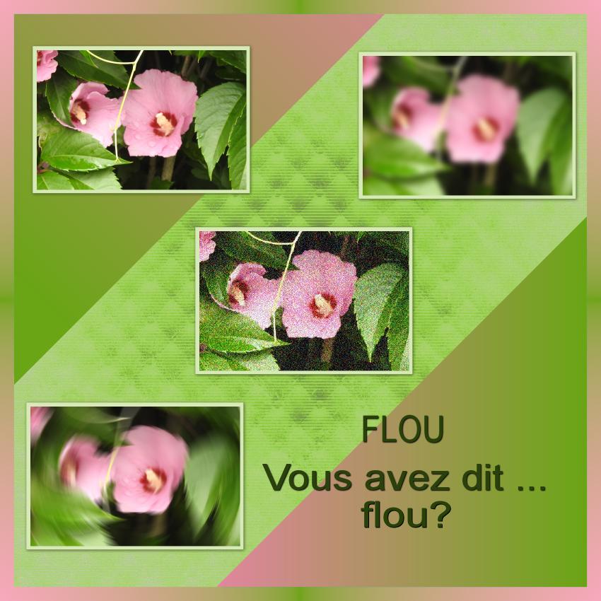 J-s89 - FLOU-VOUS AVEZ DIT ...  .jpg