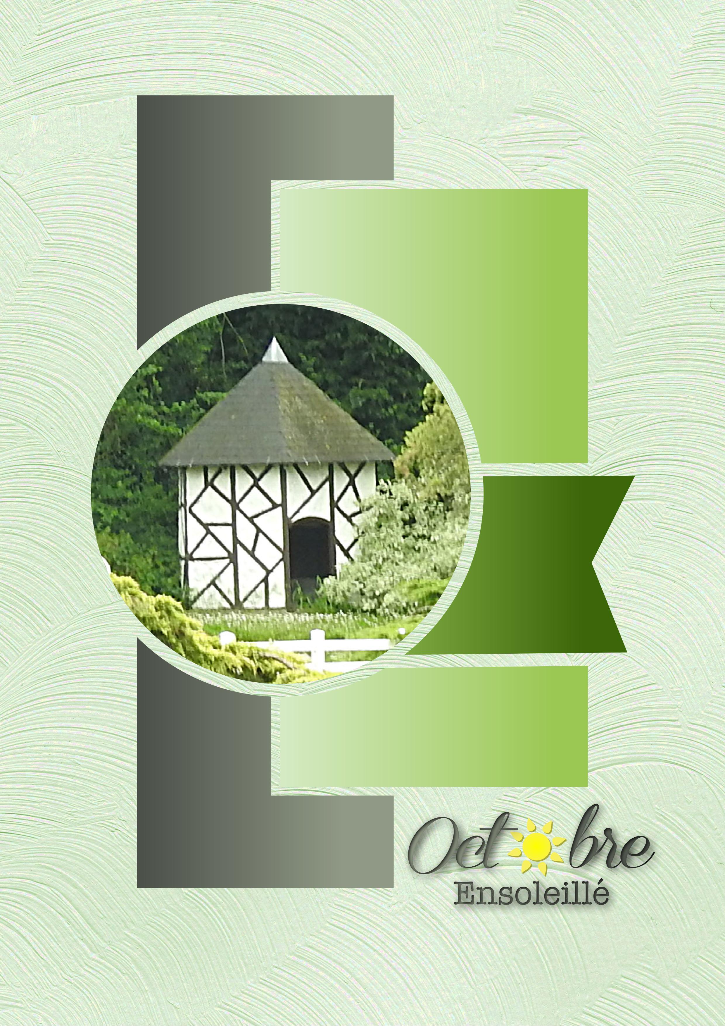 J-s90 - AUTOMNE ENSOLEILLÉ.jpg