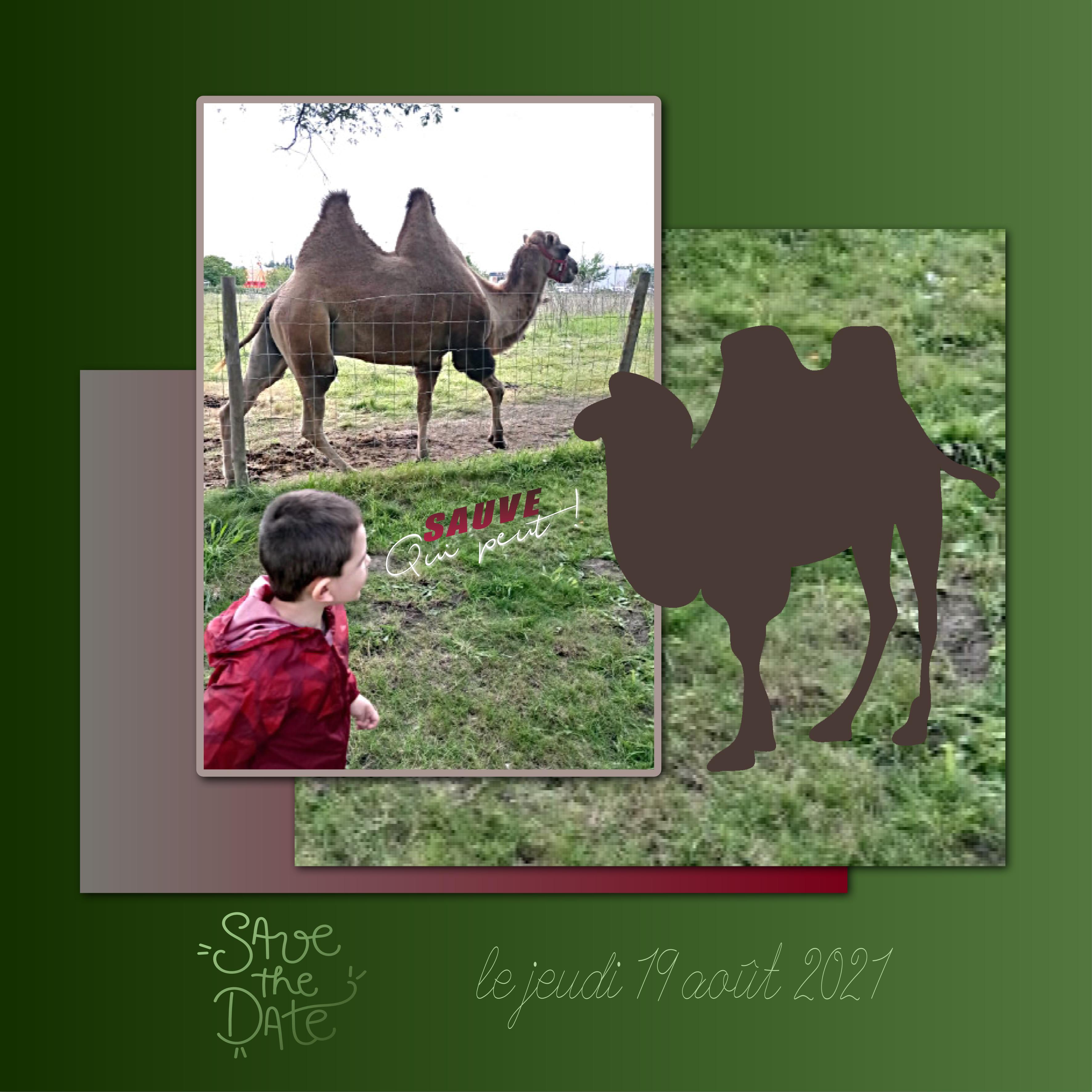 J - SAUVE QUI PEUT.jpg