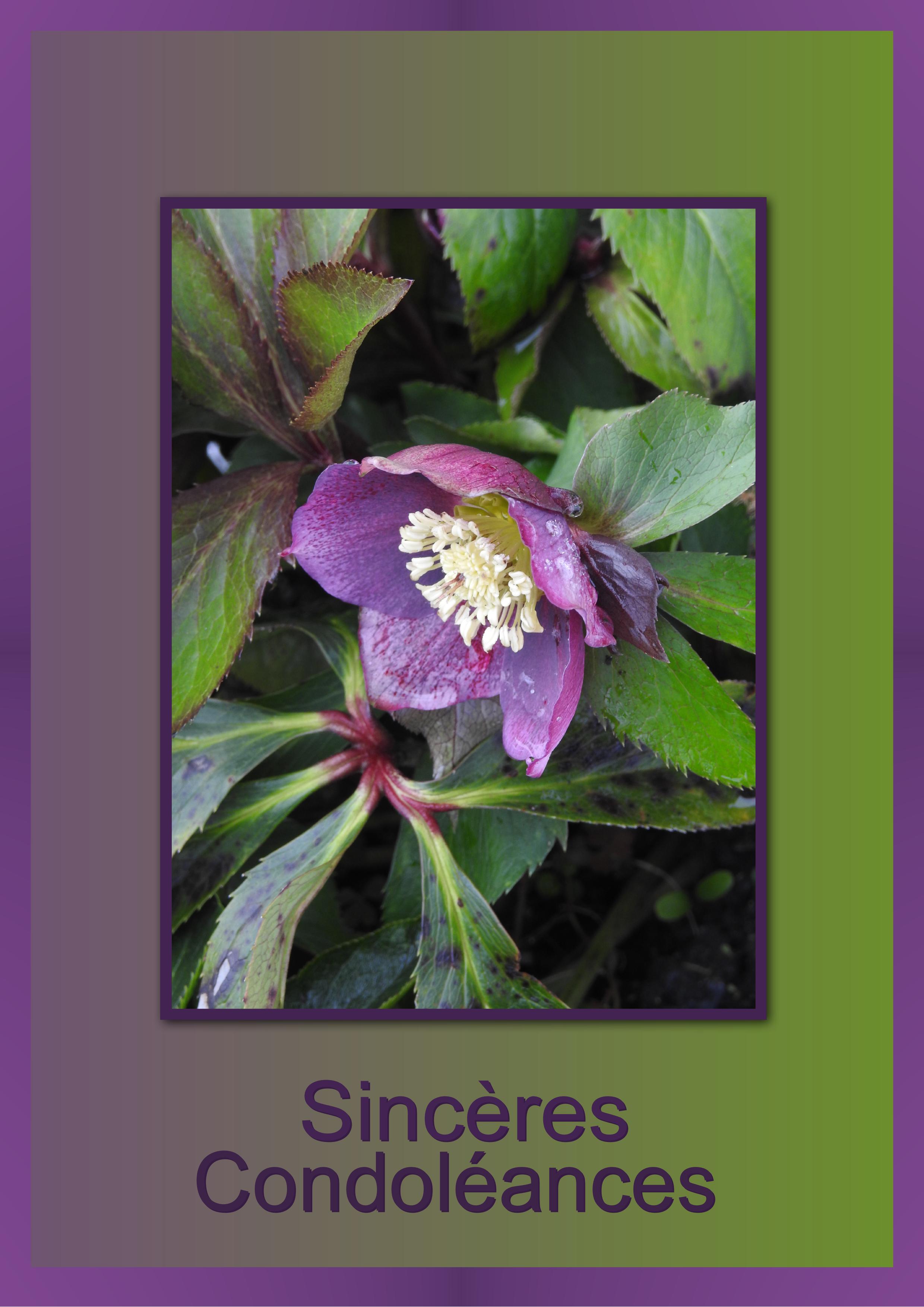 J - SINCERES CONDOLEANCES .jpg