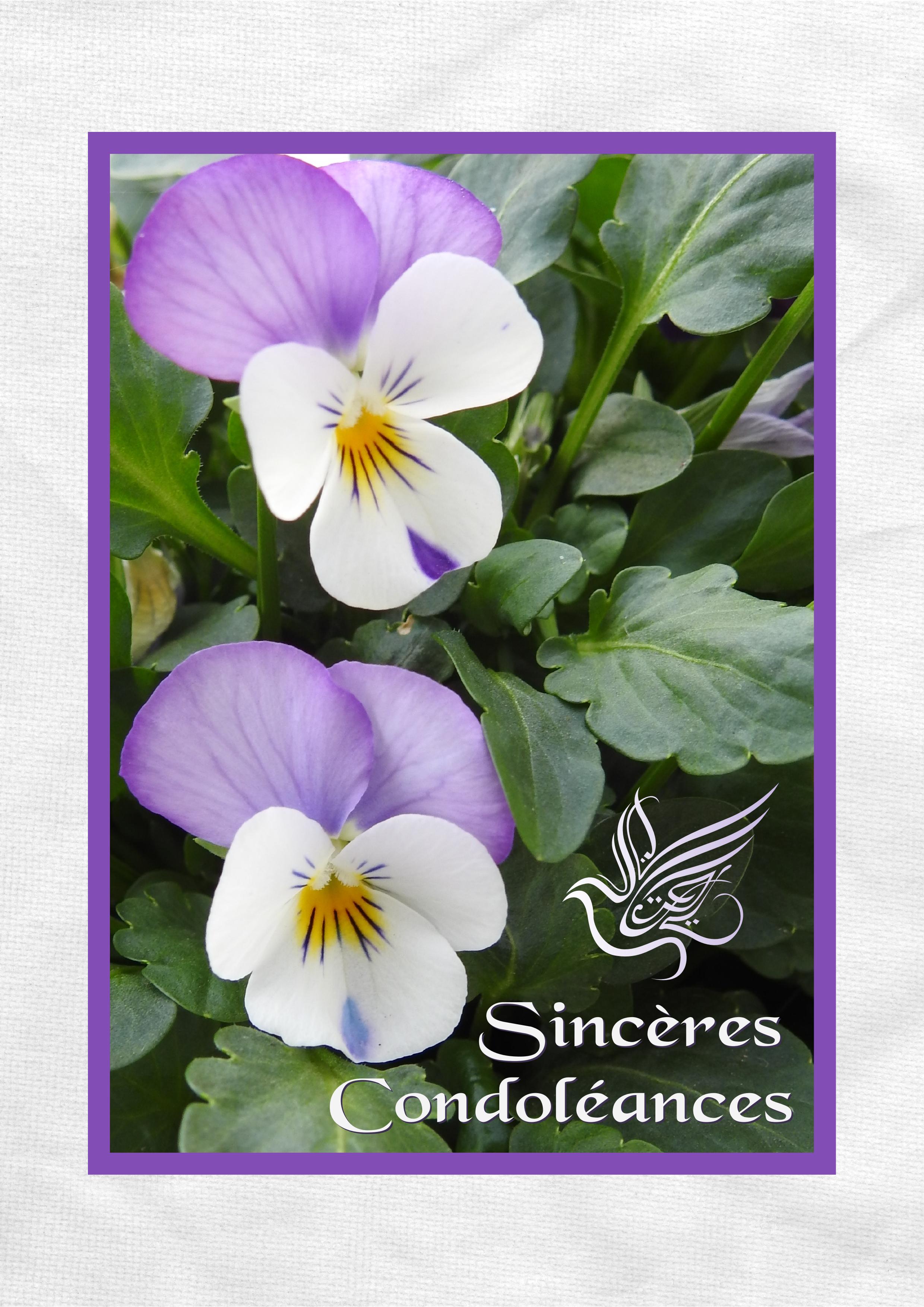 J - SINCERES CONDOLEANCES.jpg