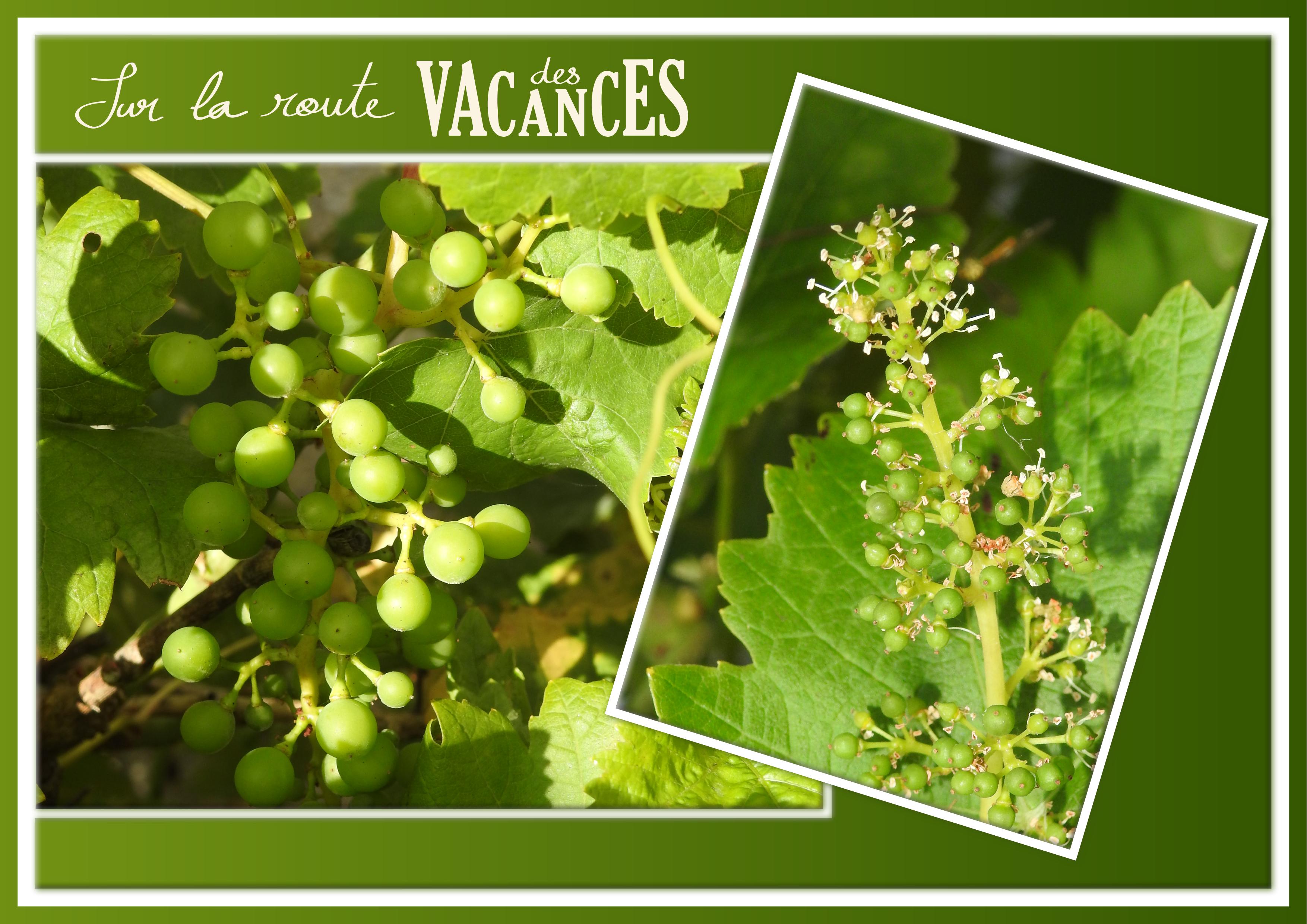 J - SUR LE ROUTE DES VACANCES.jpg