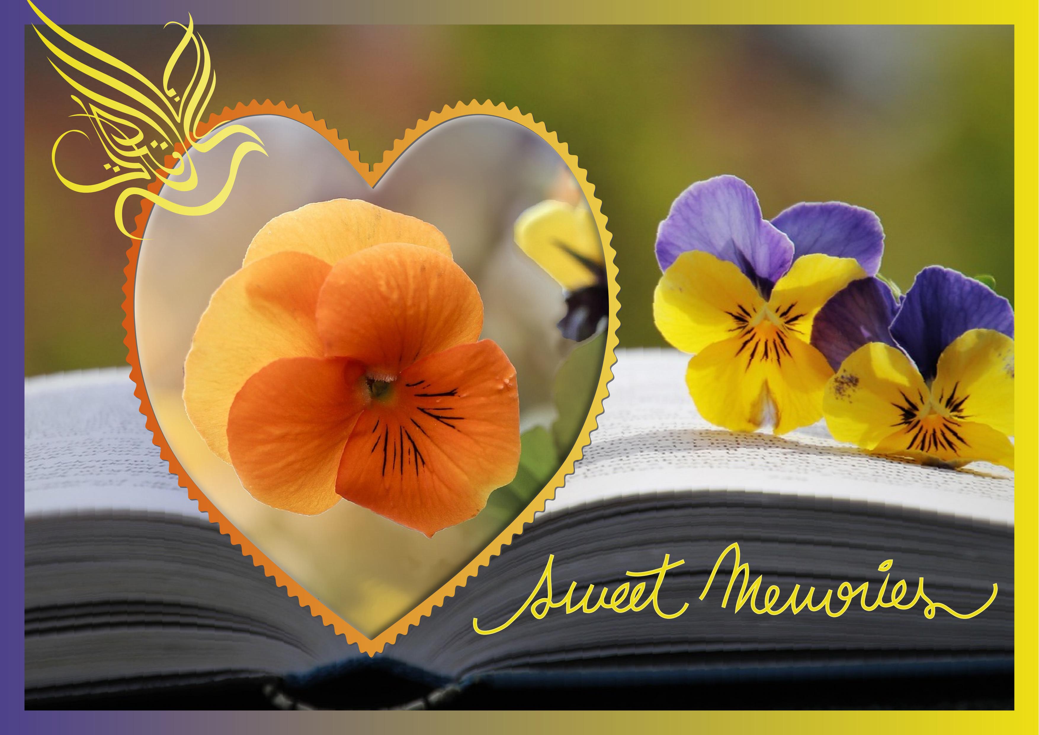 J - SWEET MEMORIES.jpg
