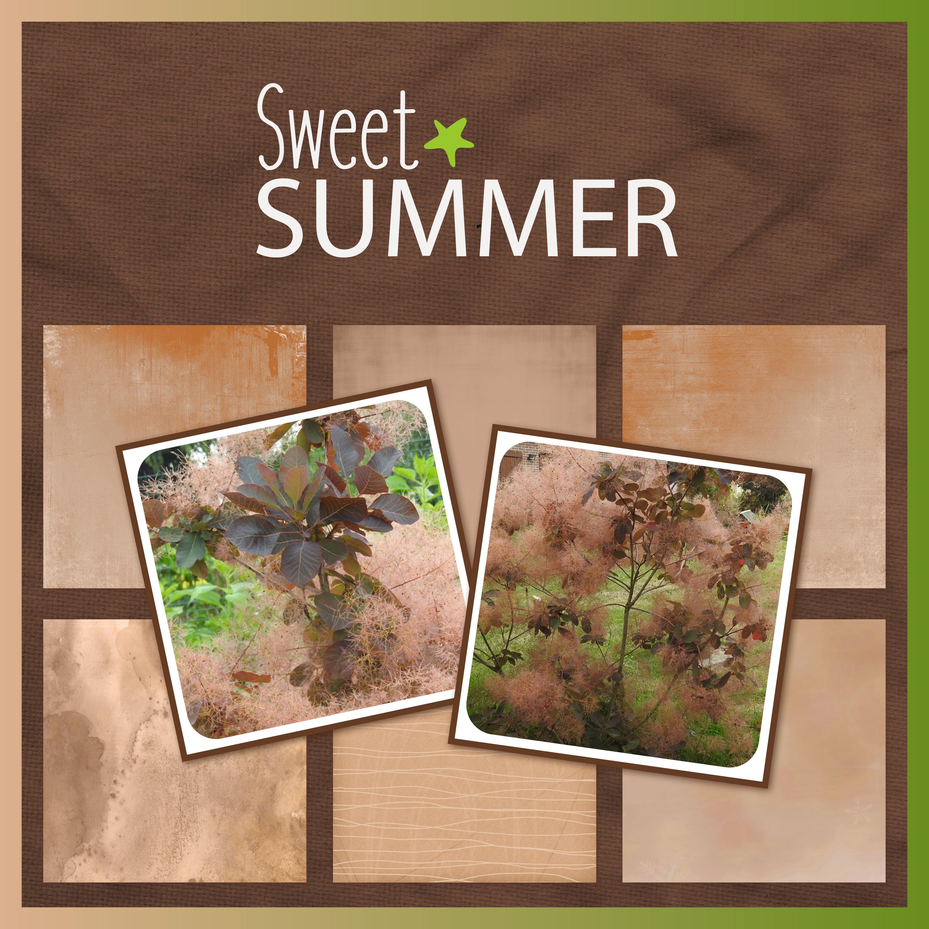 J - SWEET SUMMER.jpg