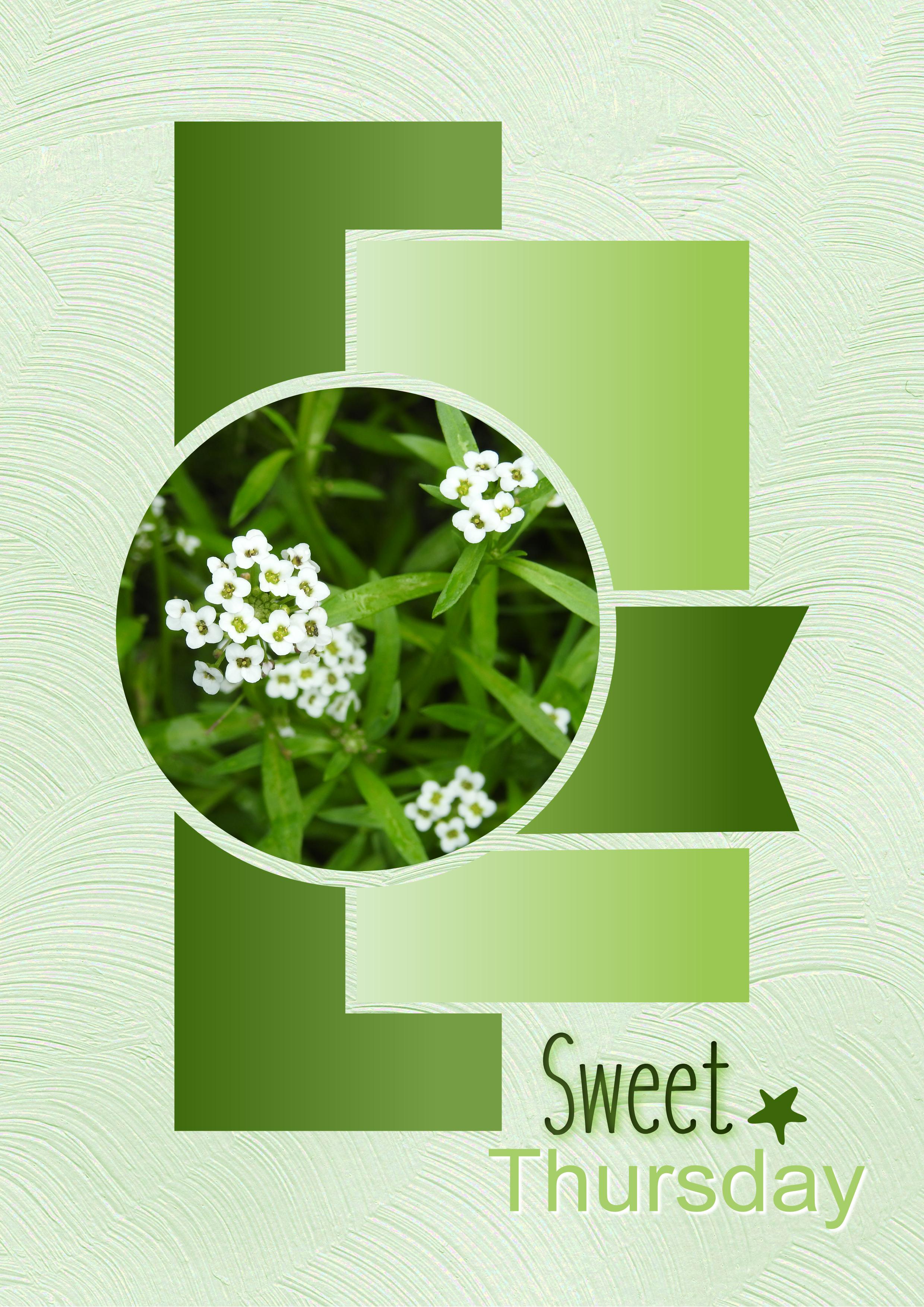 J - SWEET THURSDAY.jpg