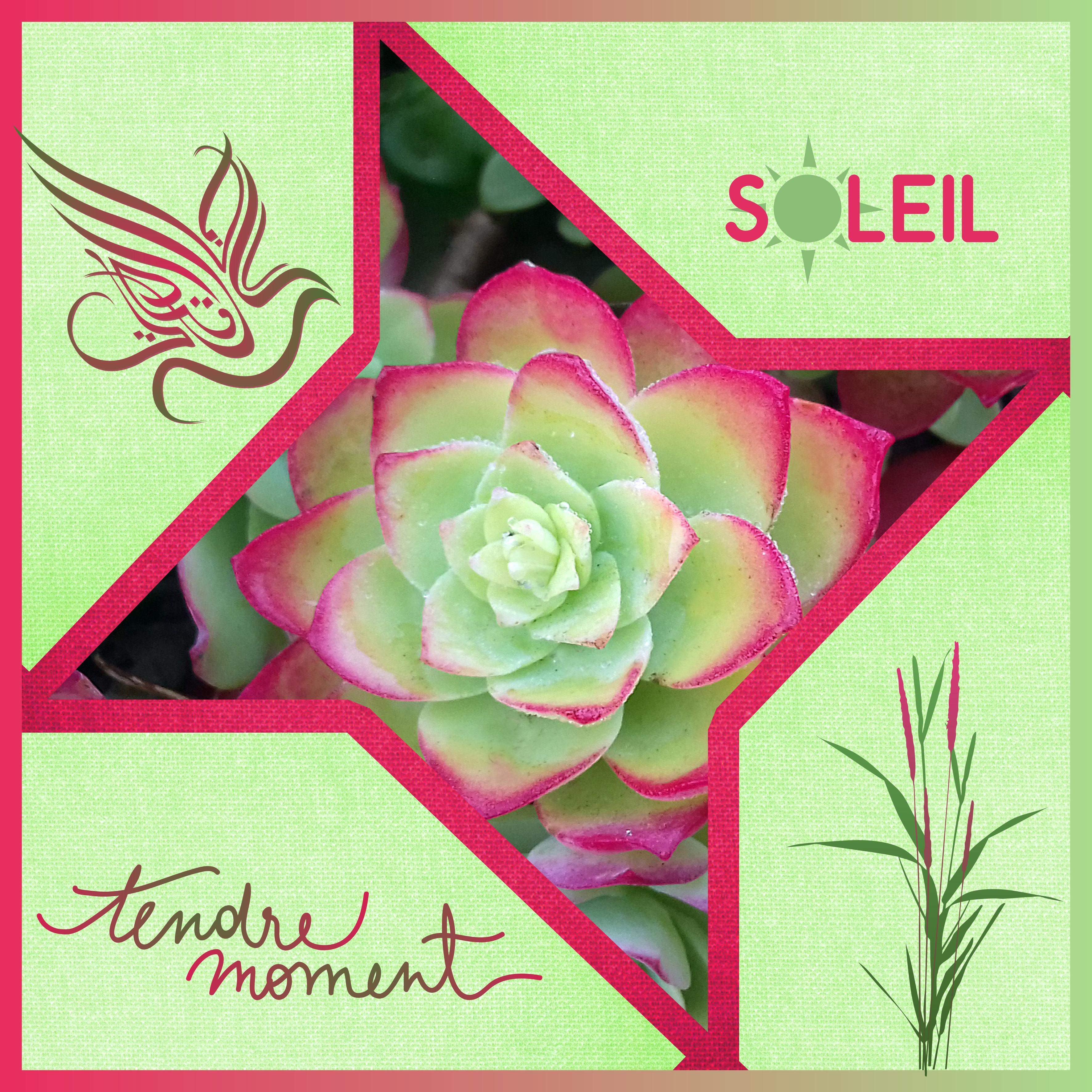 J - TENDRE MOMENT.jpg