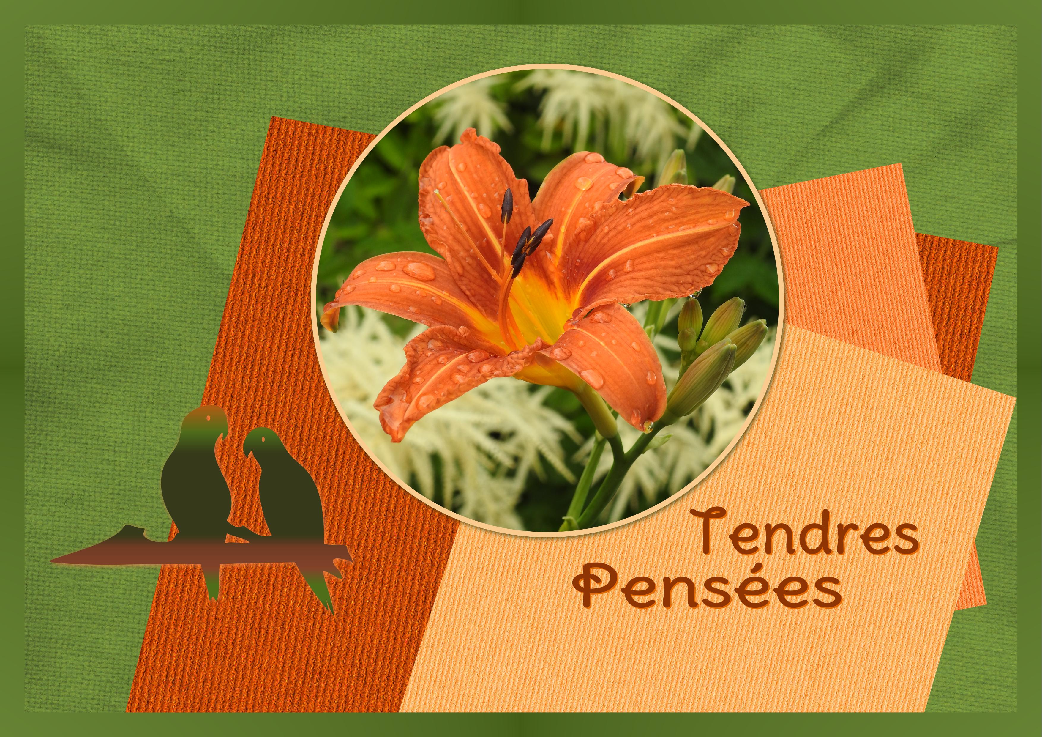 J- TENDRES PENSEES.jpg