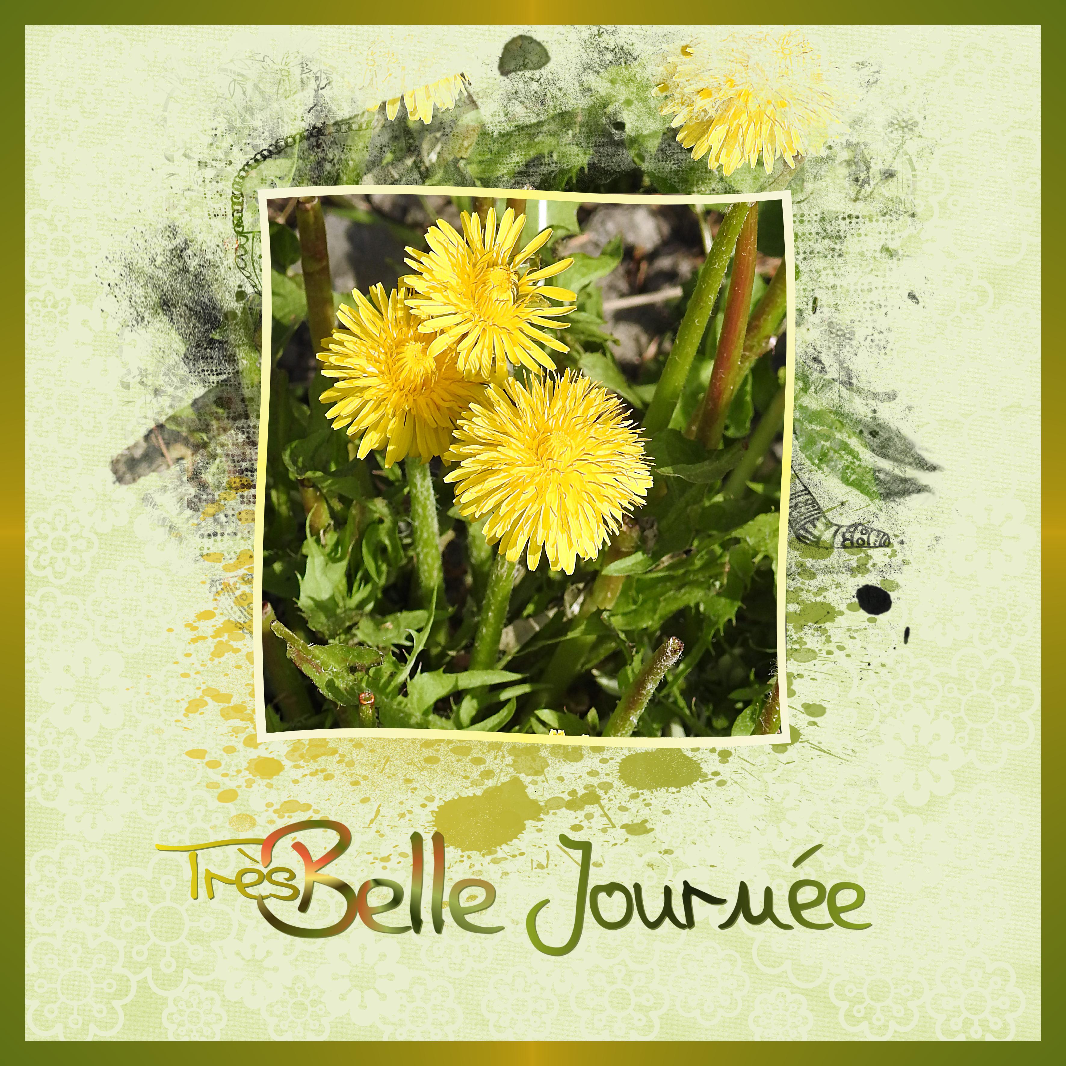 J - TRES BELLE JOURNEE.jpg