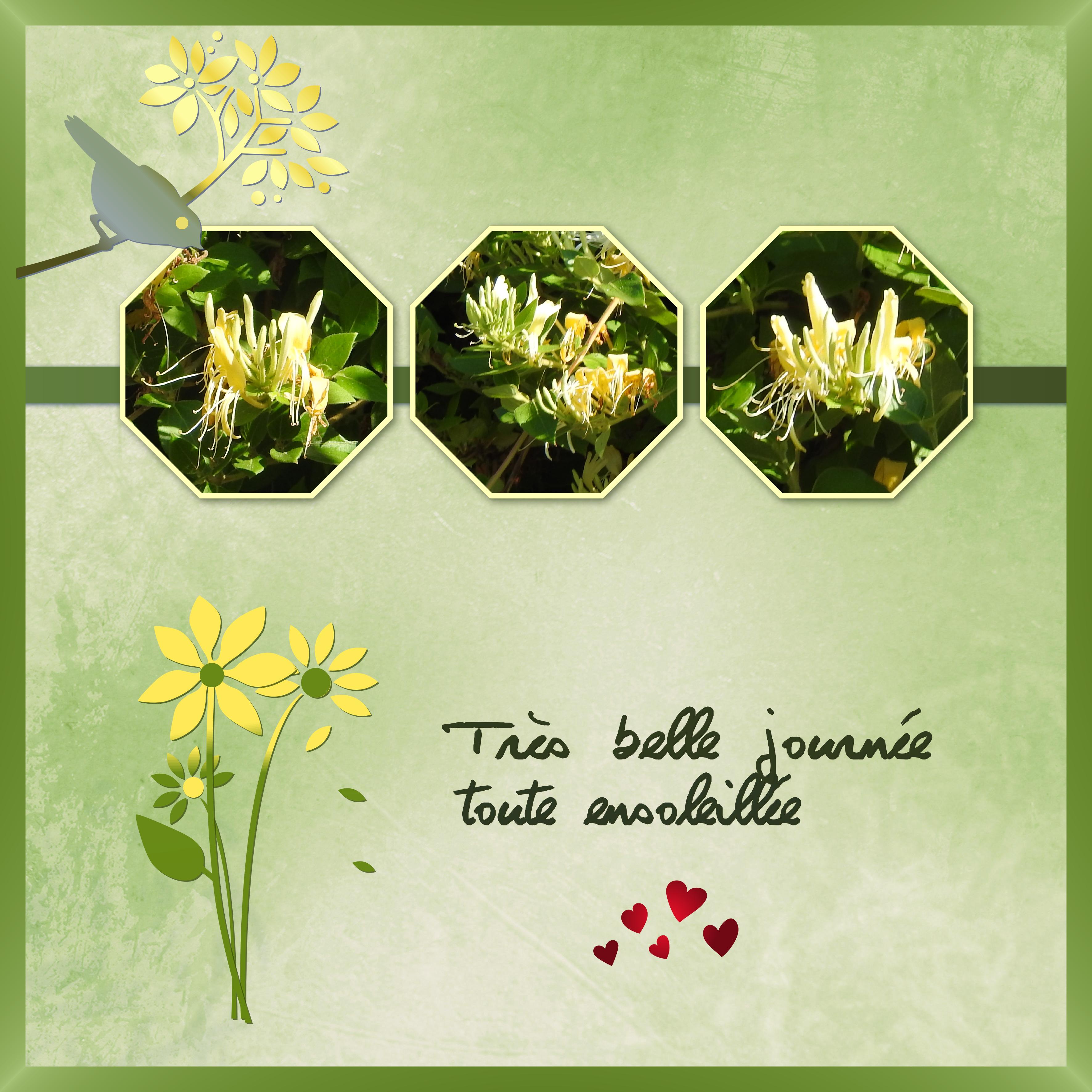 J - TRES BELLE JOURNEE.jpg