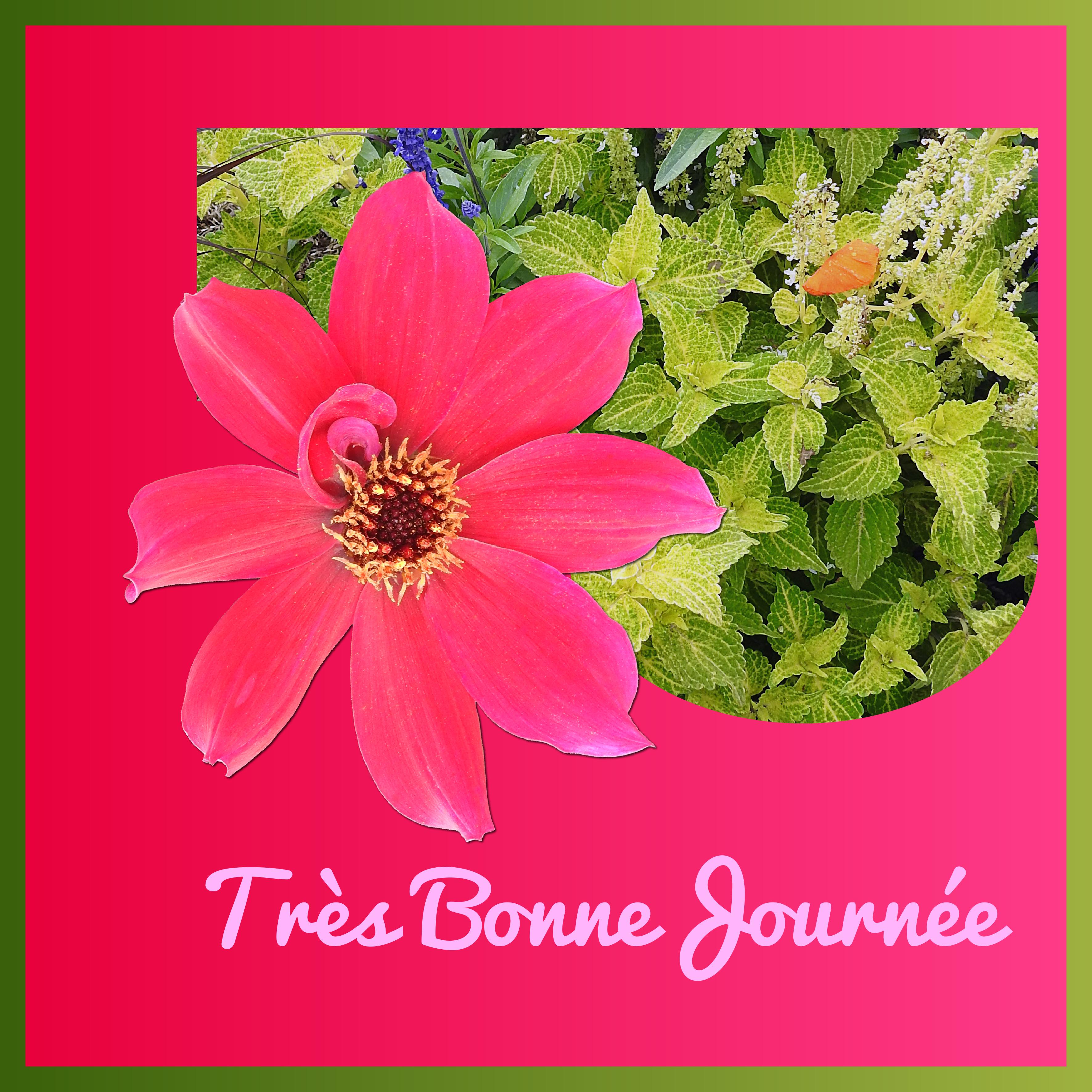 J - TRES BELLE JOURNEE.jpg