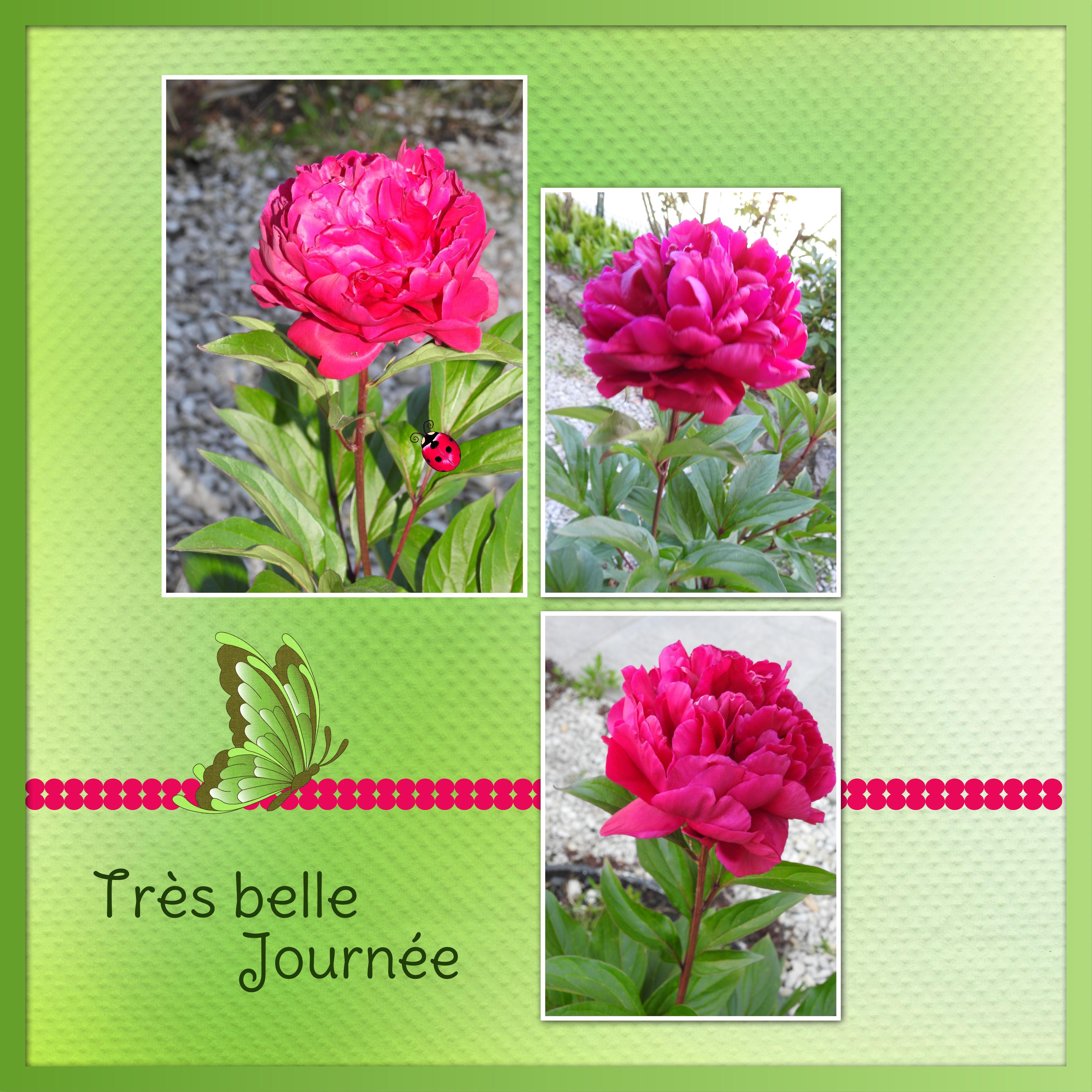 J - TRES BELLE JOURNEE.jpg