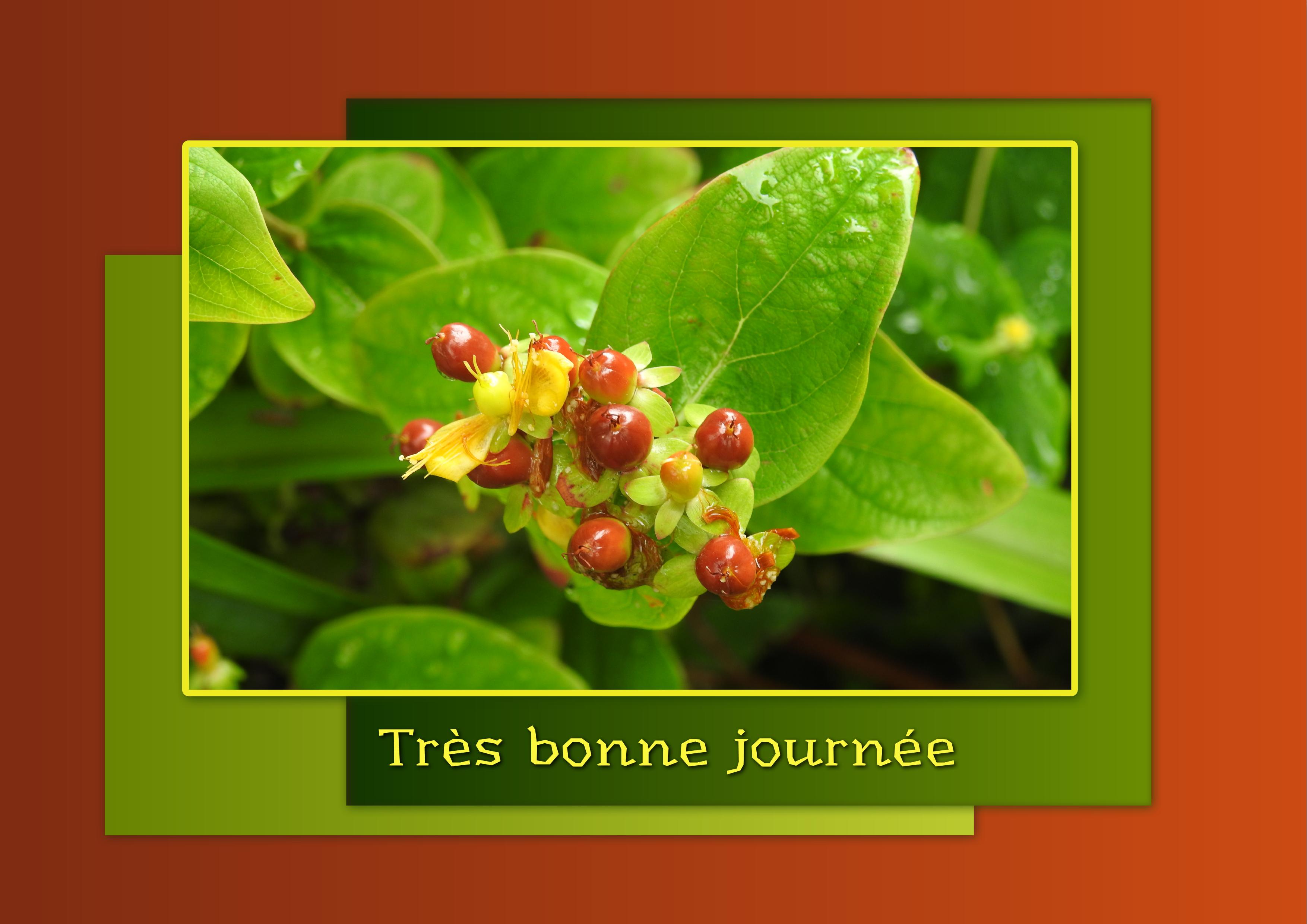 J - TRES BONNE JOURNEE.jpg