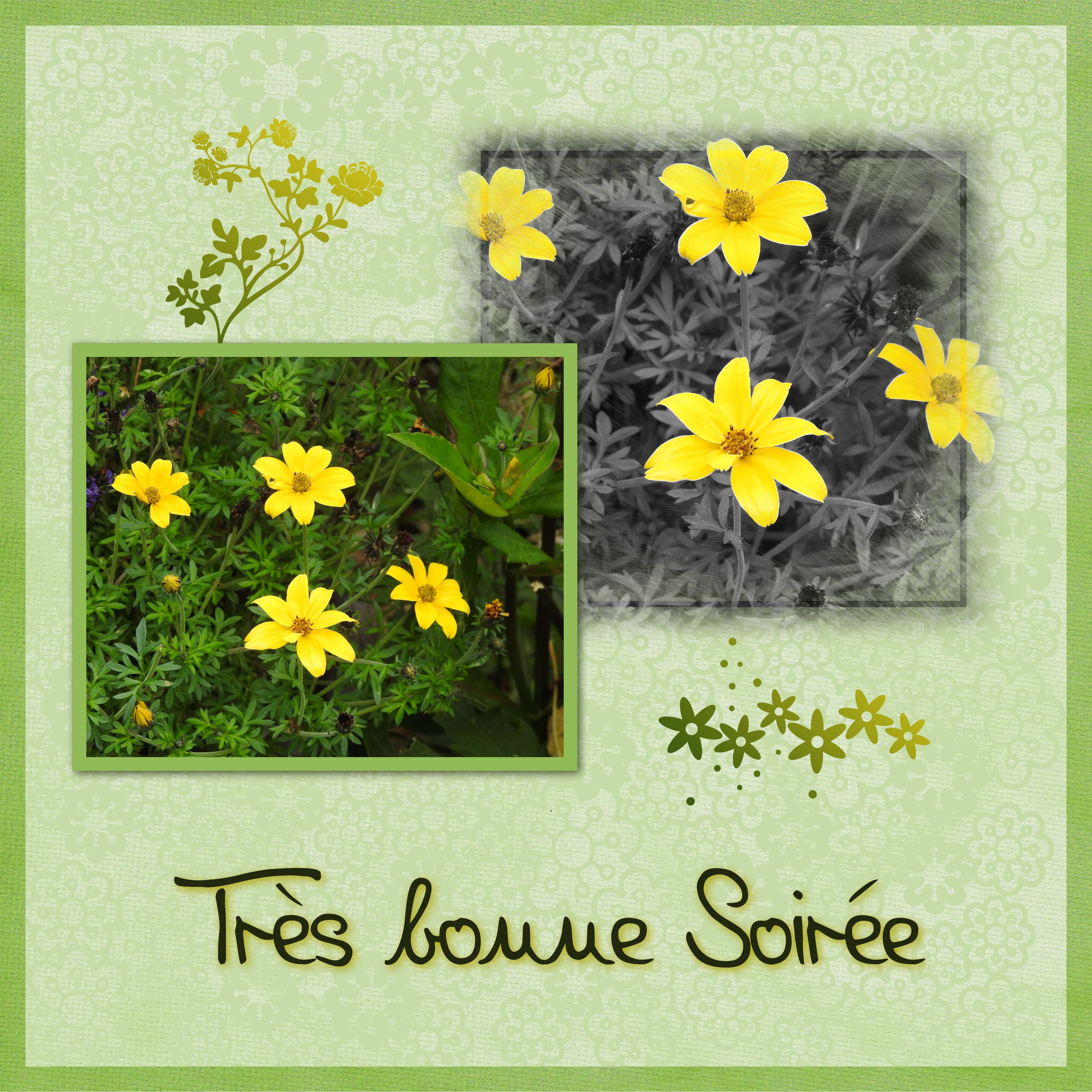 J - TRES BONNE SOIREE.jpg