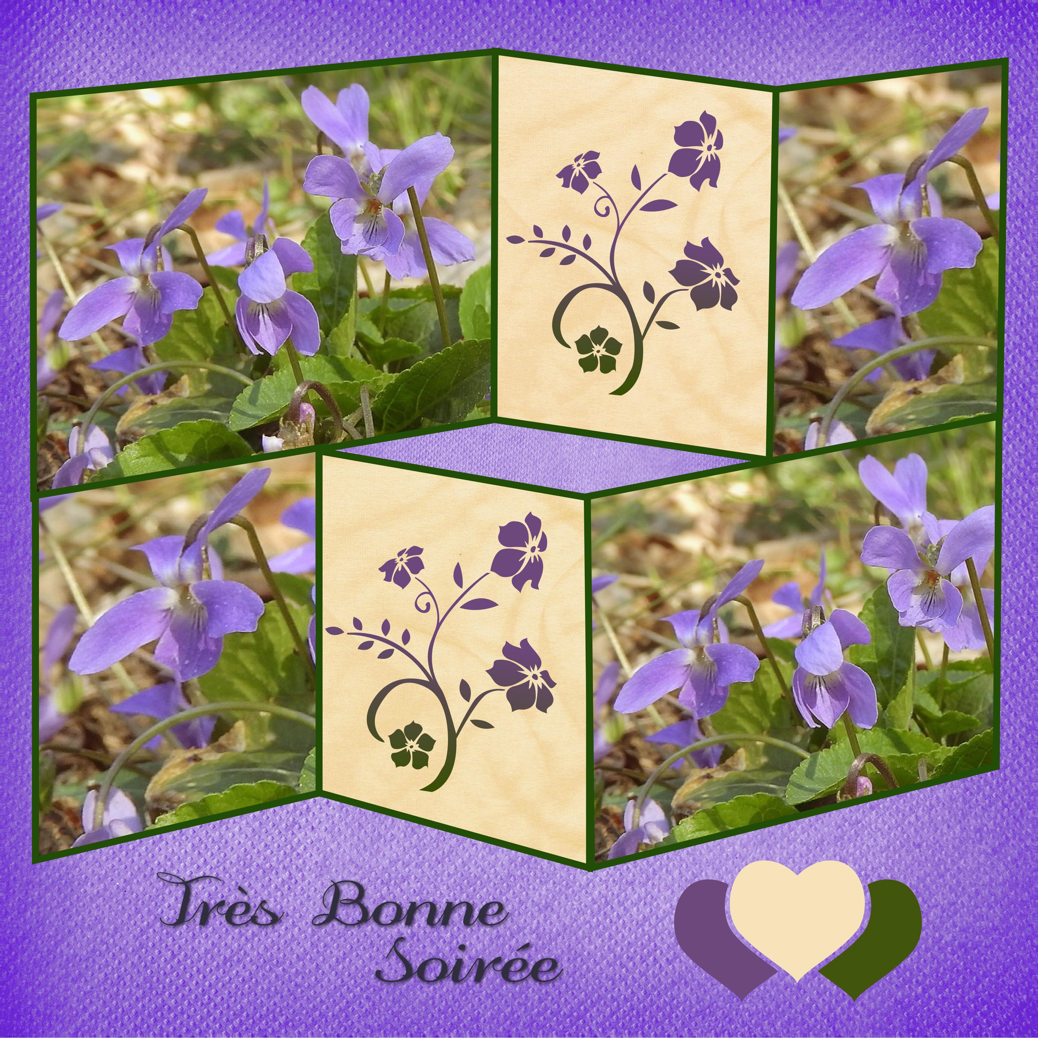 J - TRES BONNE SOIREE.jpg