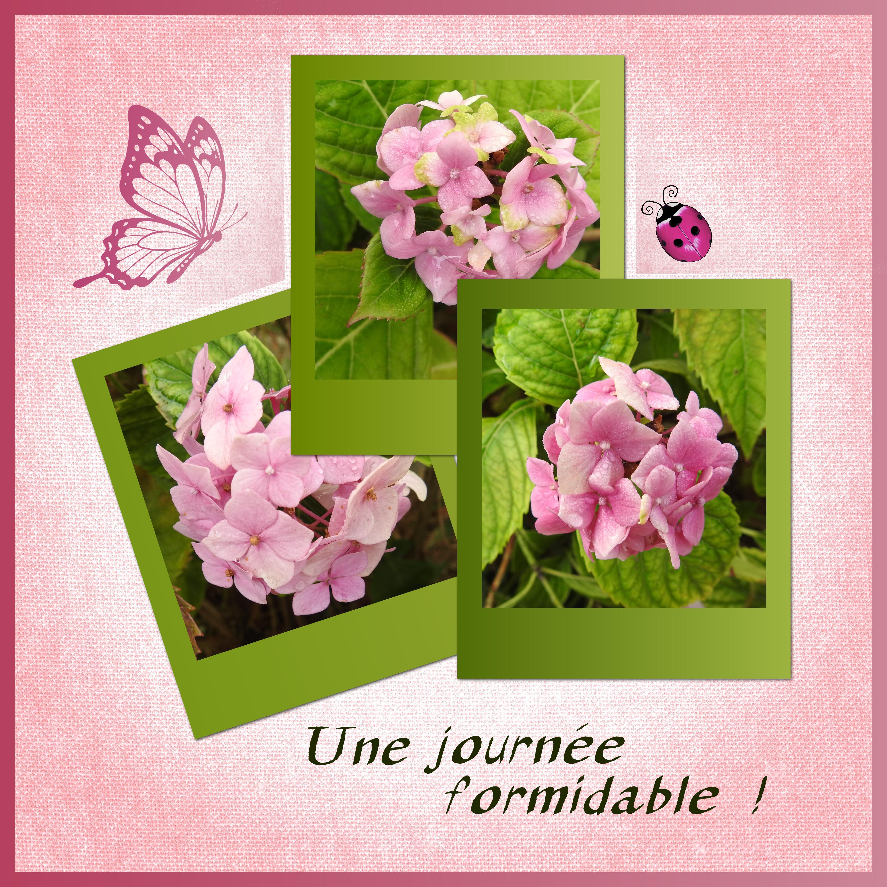 J - UNE JOURNEE FORMIDABLE.jpg