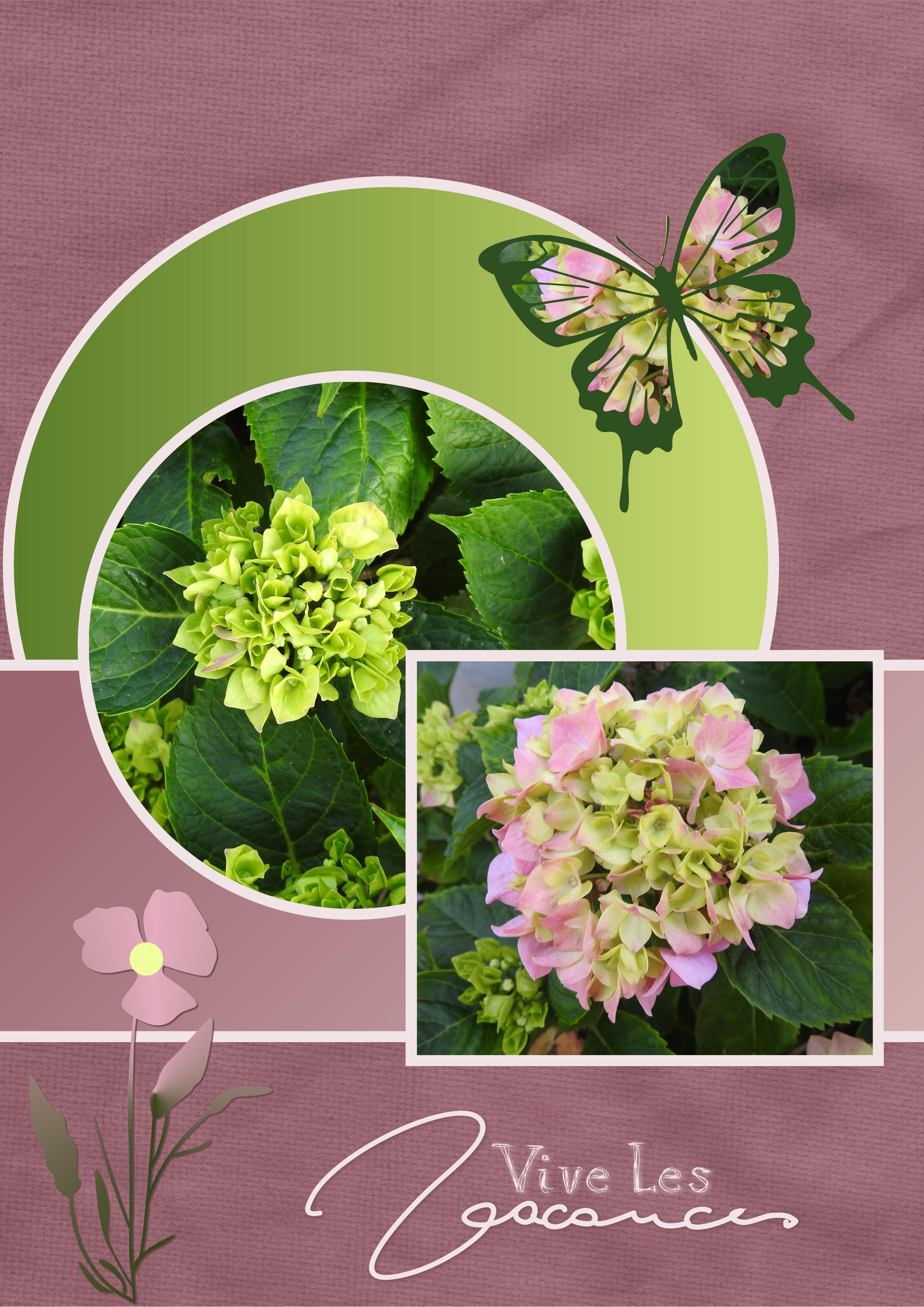 J - VIVE LES VACANCES.jpg