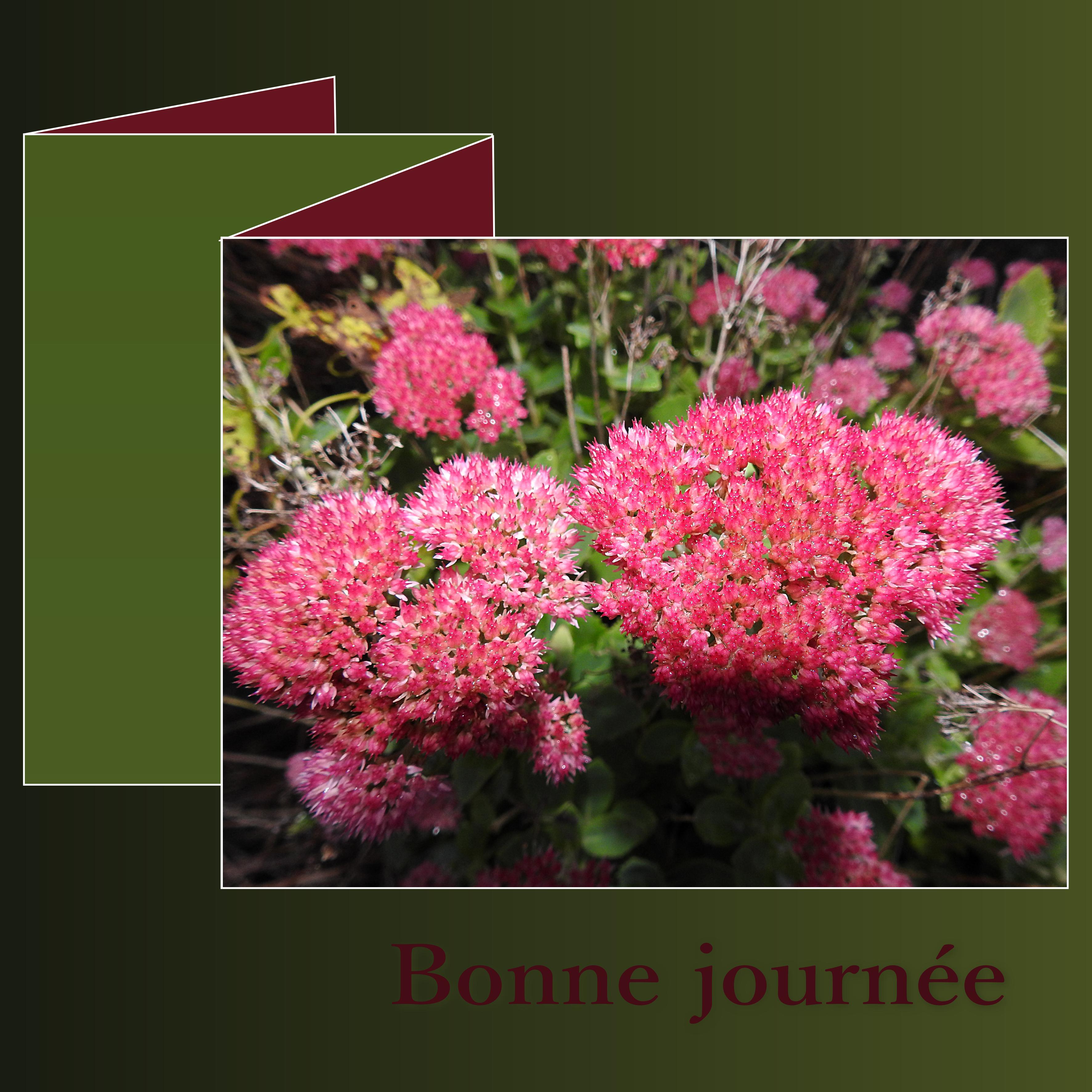 J1 - BONNE JOURNEE.jpg