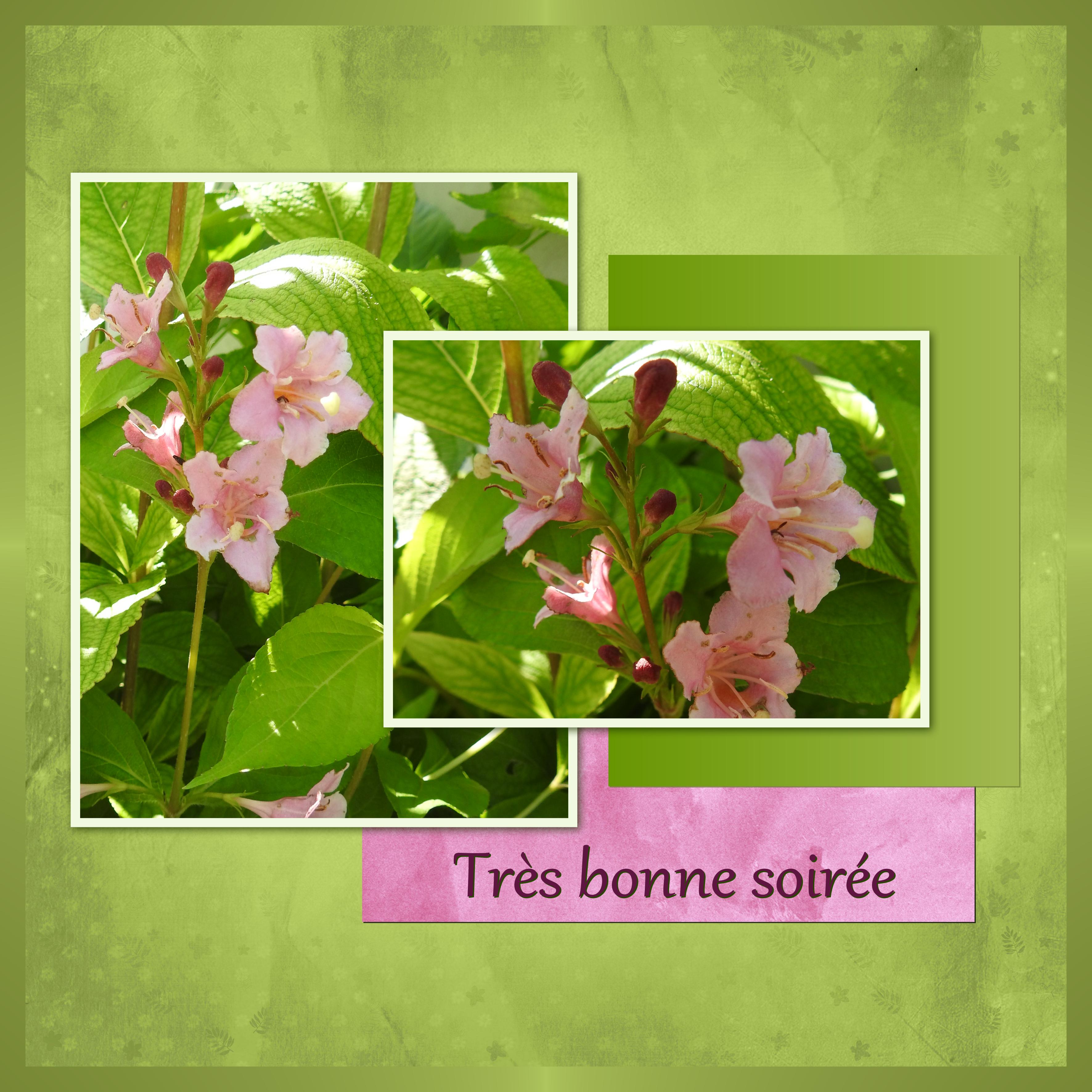 J10 - TRES BONNE SOIREE.jpg