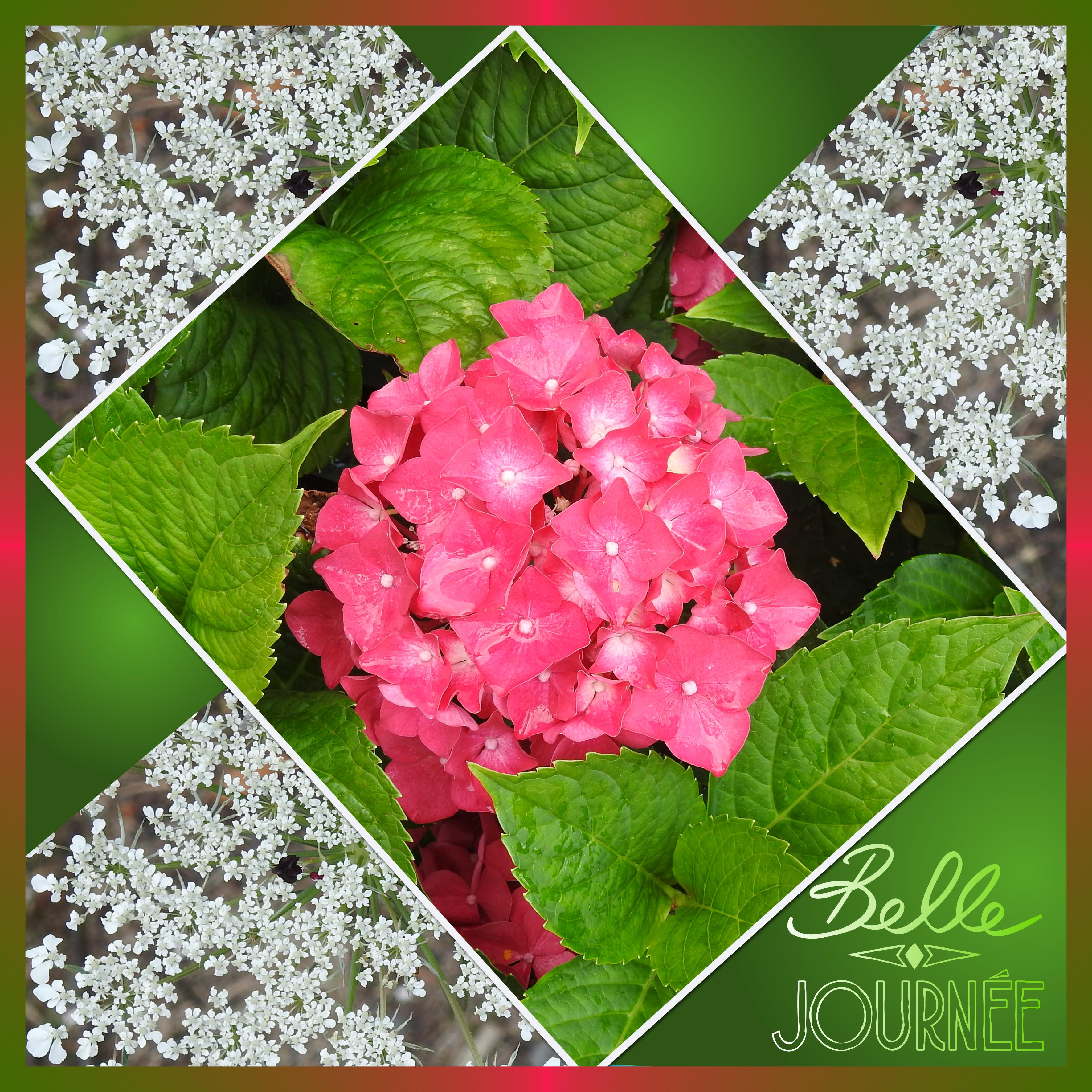 J12 - BELLE JOURNEE.jpg