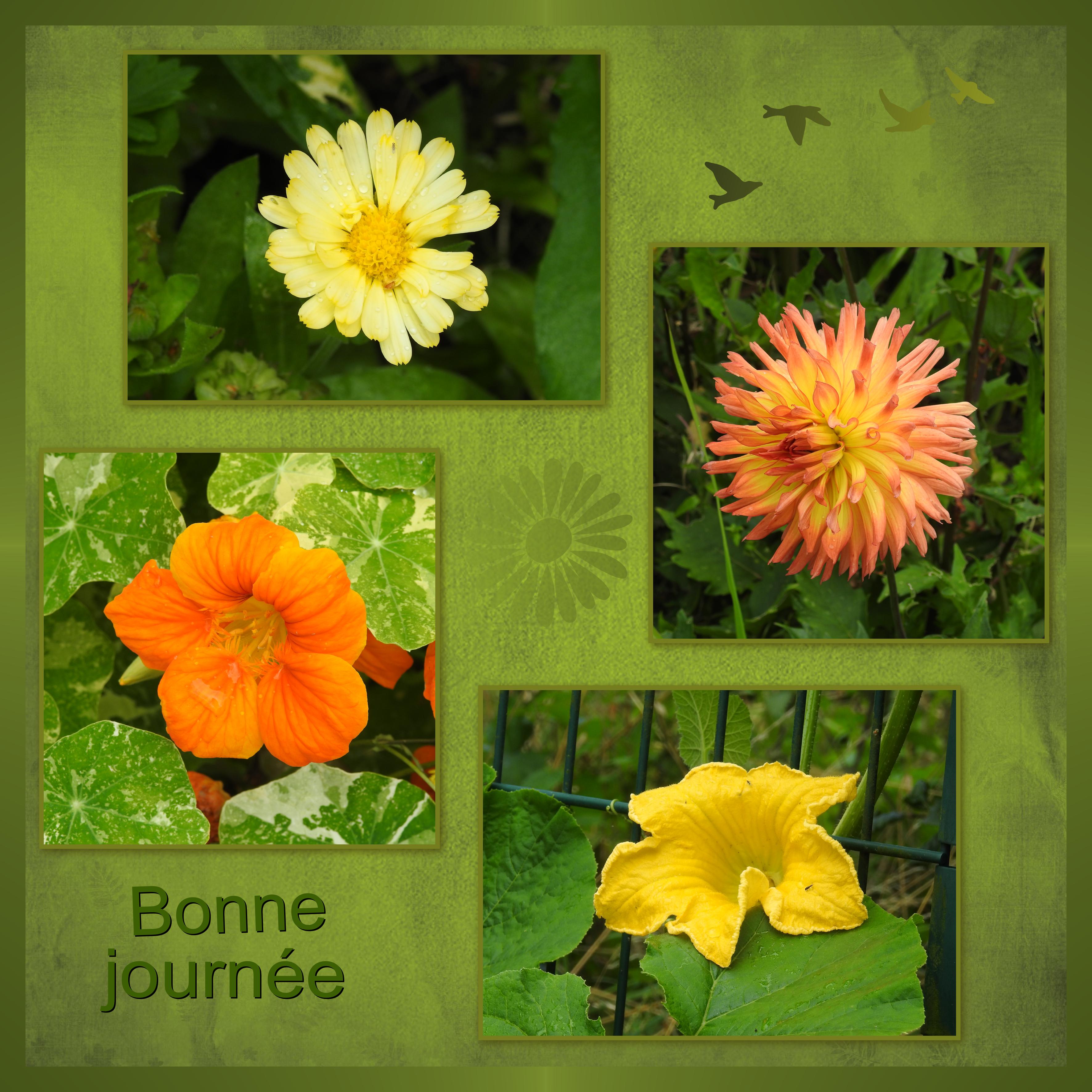 J13 - BONNE JOURNEE.jpg