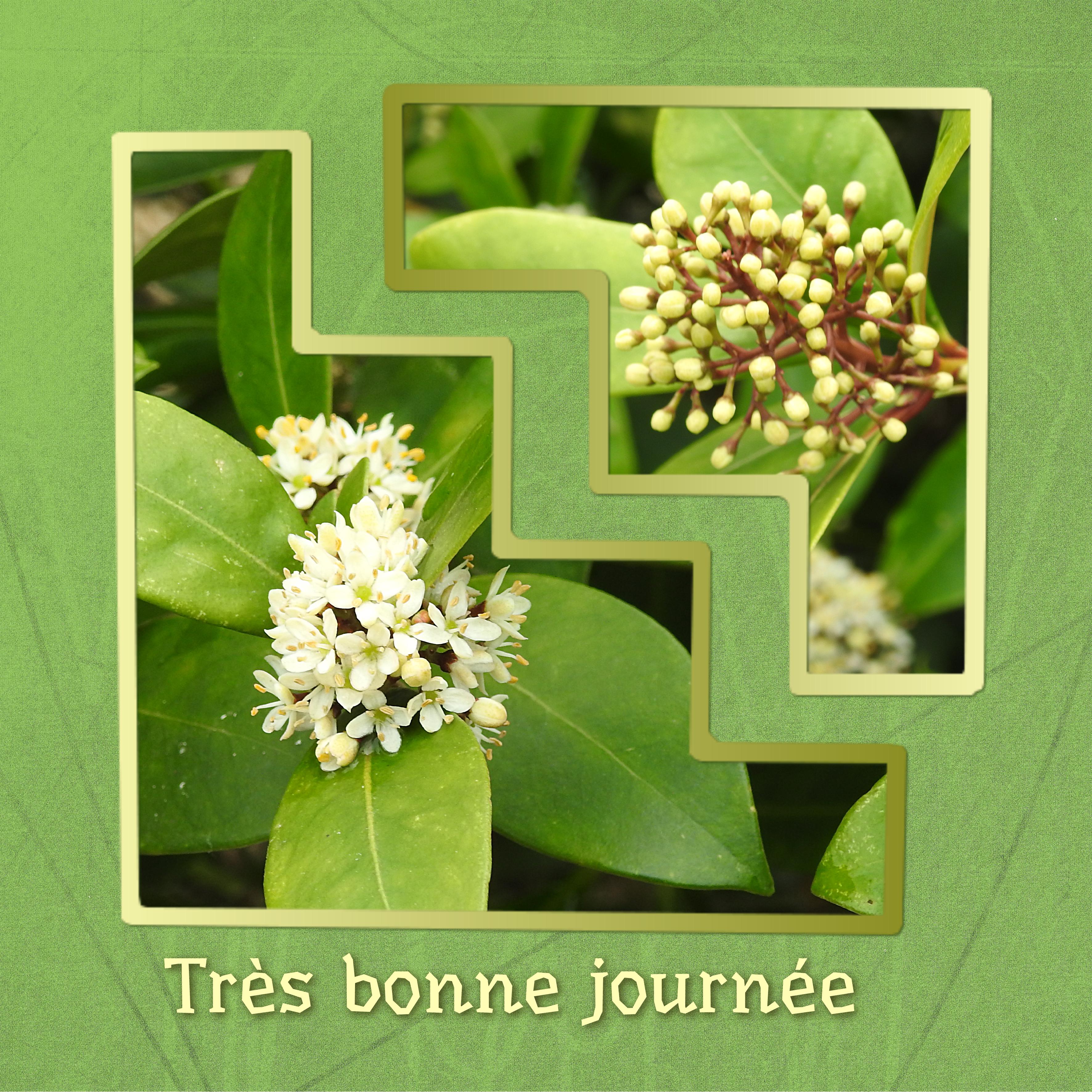 J4 - TRES BONNE JOURNEE.jpg