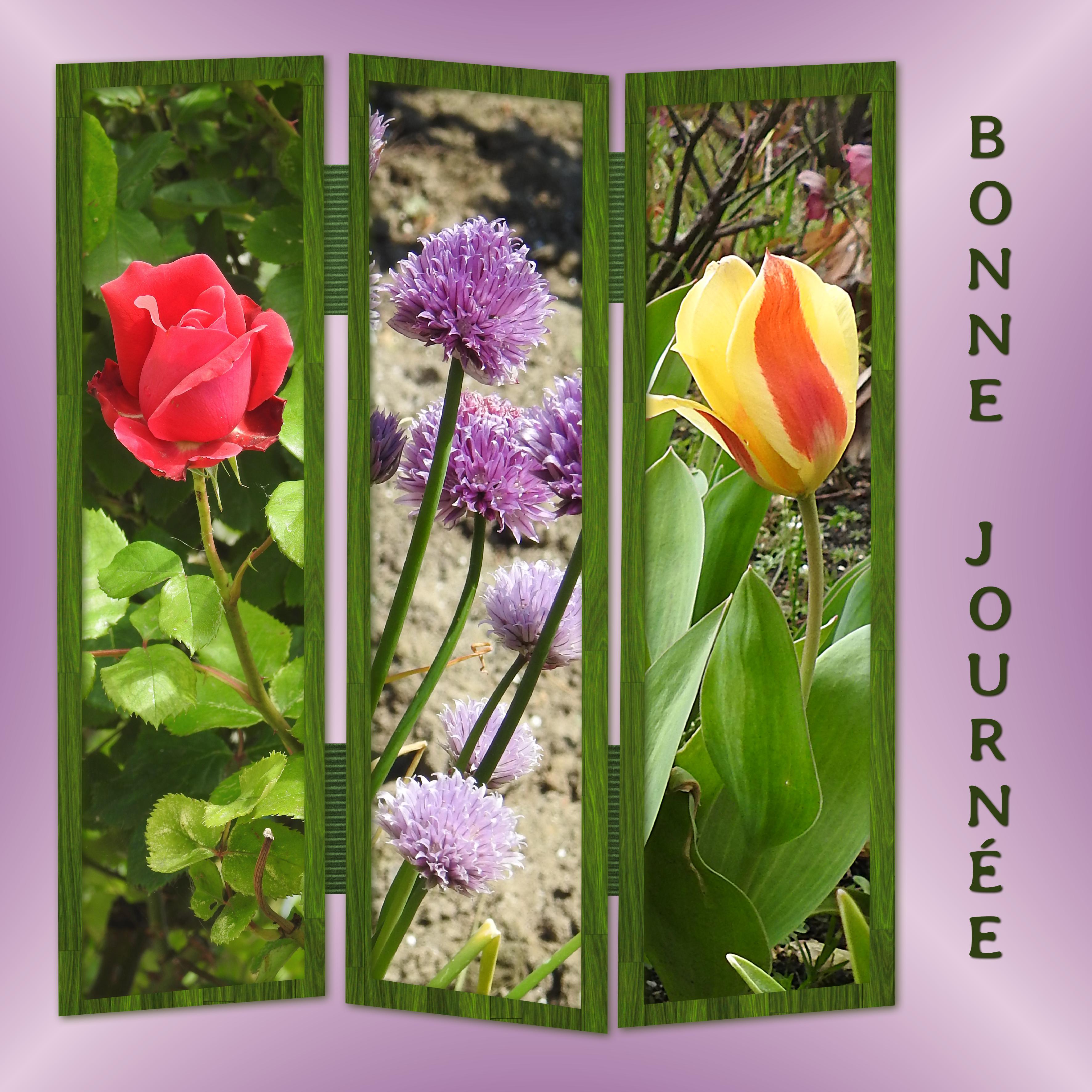 J5 - BONNE JOURNEE.jpg