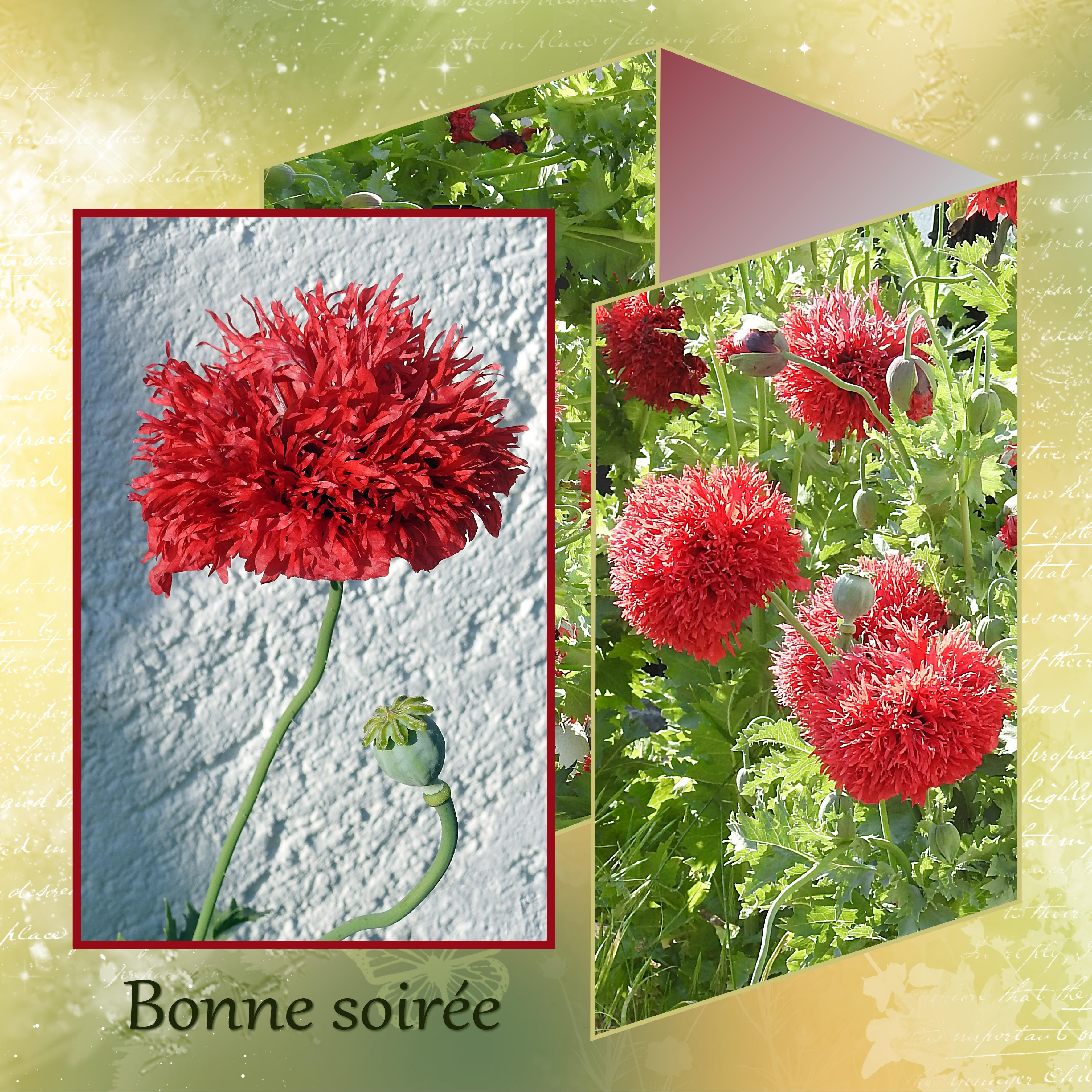 J7 - BONNE SOIREE.jpg