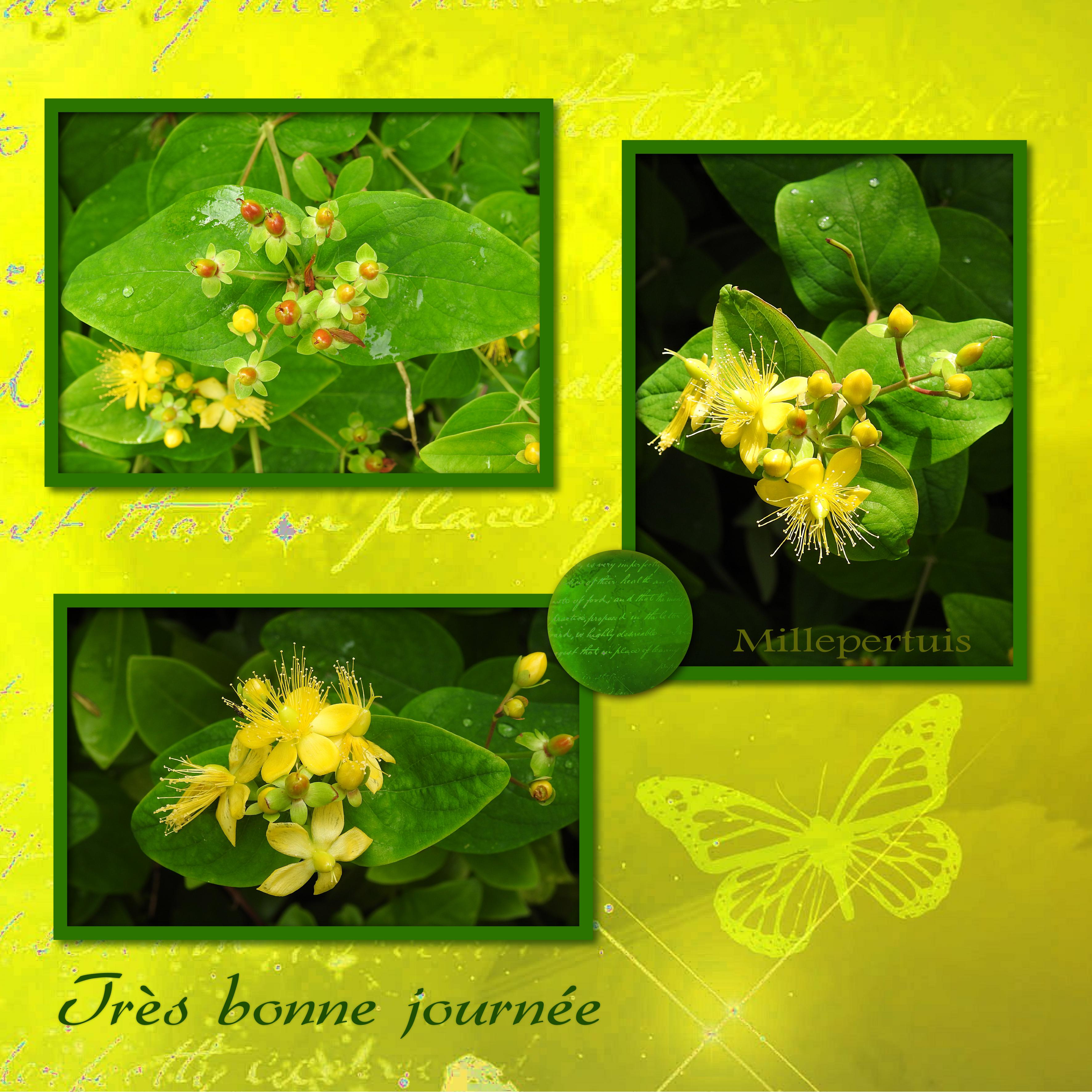 J8 - TRES BONNE JOURNEE.jpg